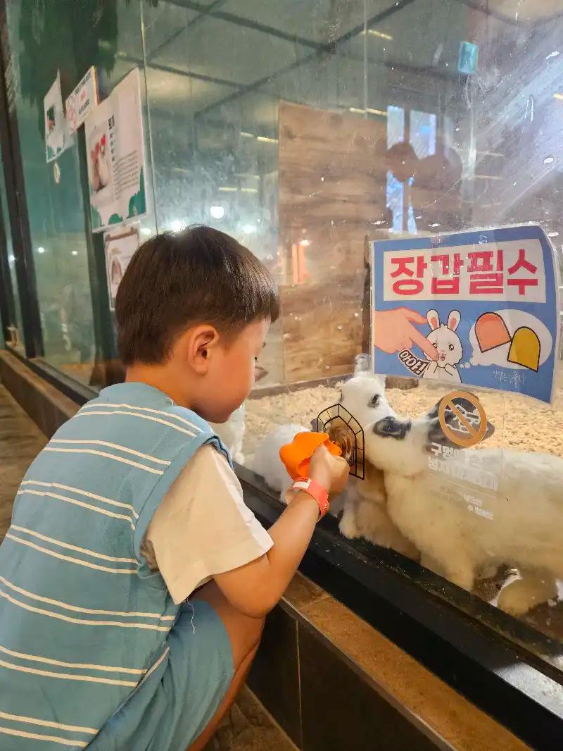 크루톡 이미지 3