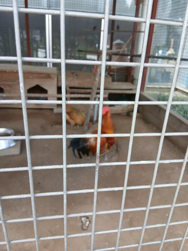크루톡 이미지 3