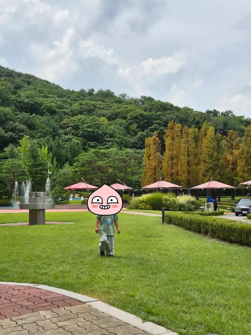 크루톡 이미지 4