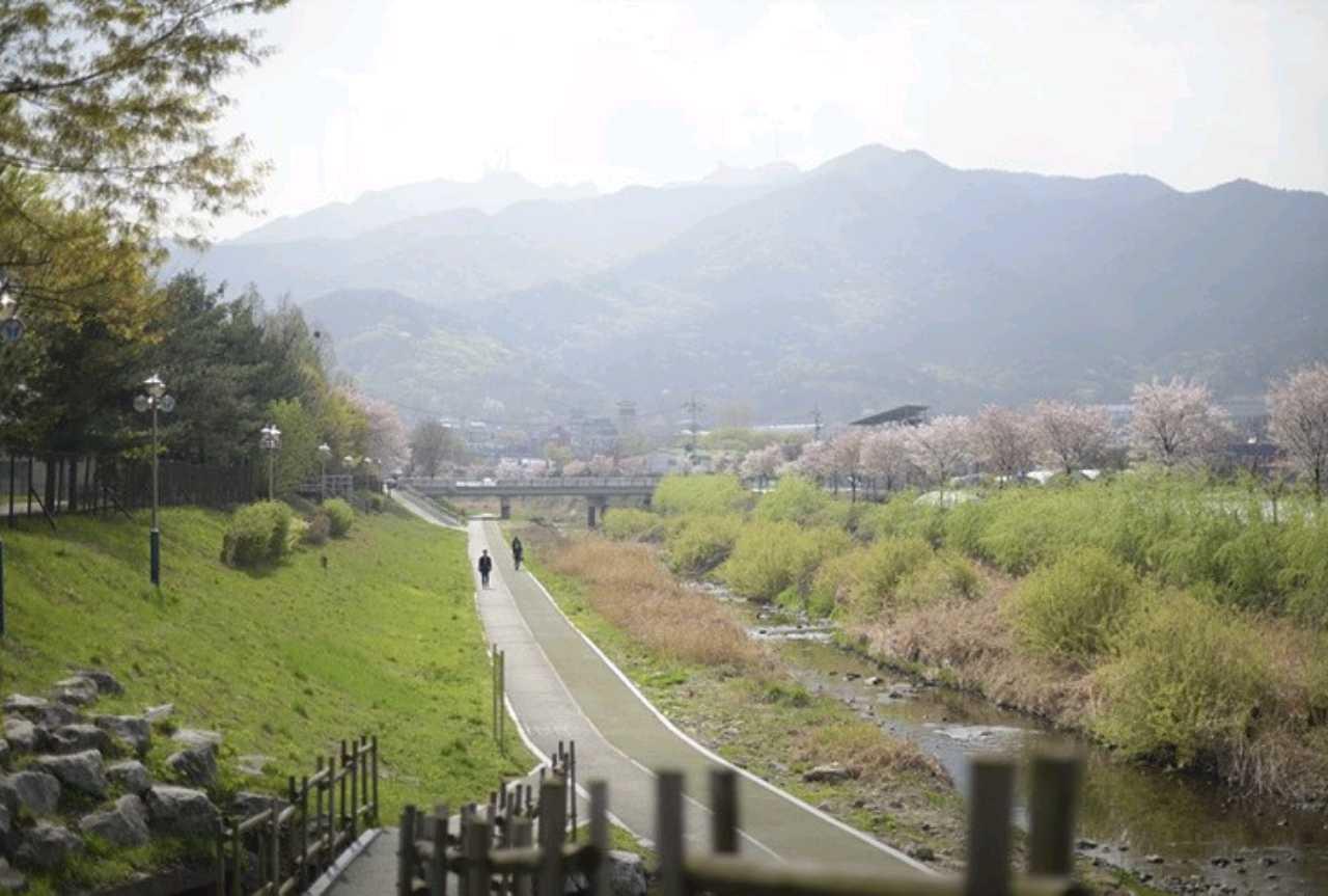 양재천 산책 같이해요🚶‍♀️