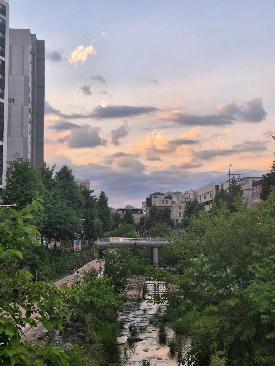 성북천 같이 산책해요! 🥰