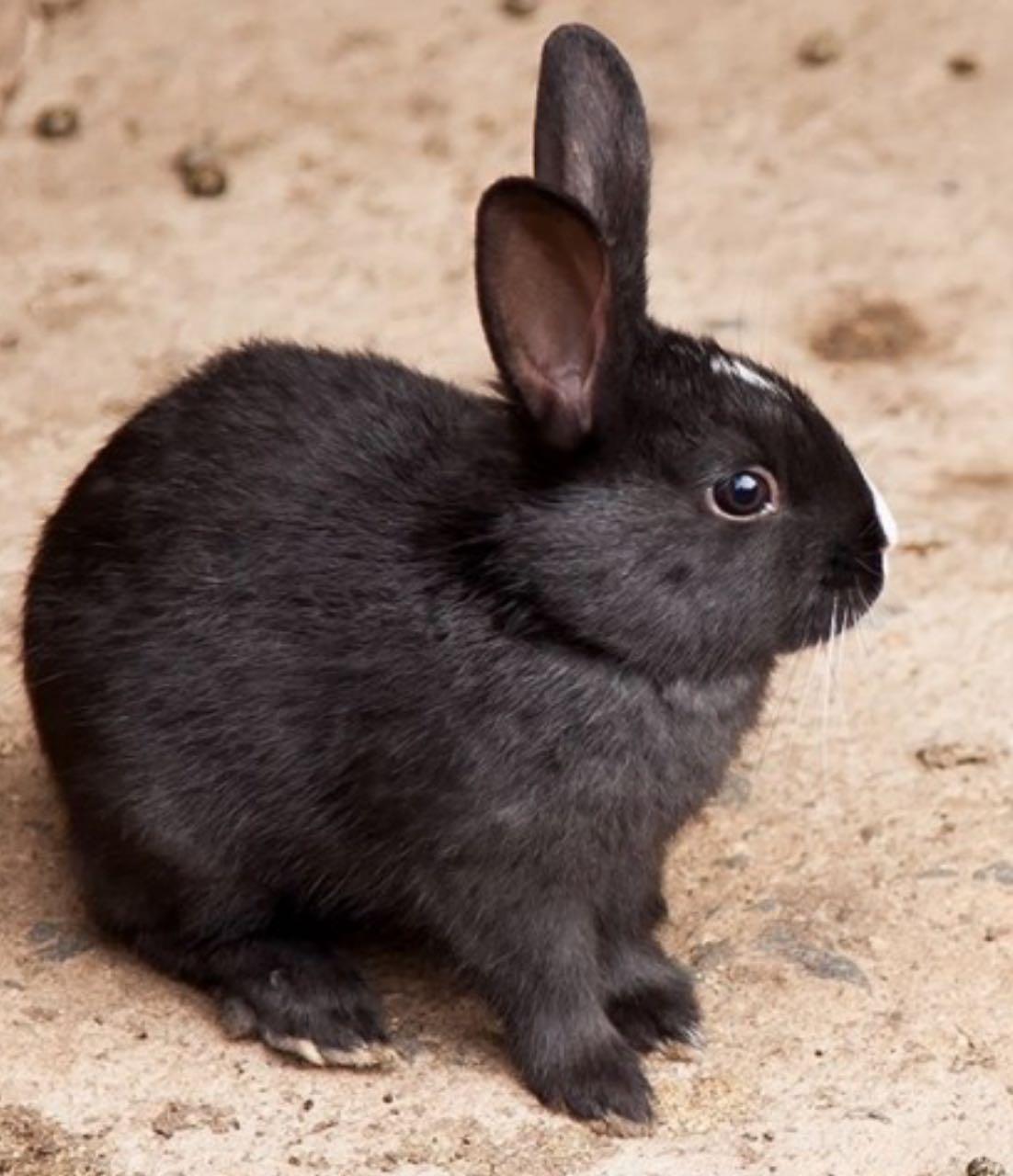 노원구 23년 토끼띠맘 함께해요🐰