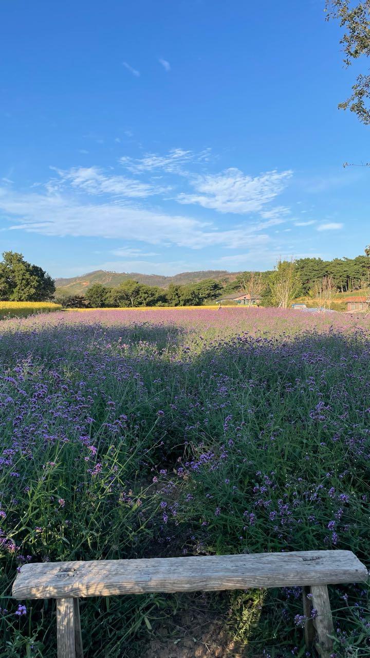논산 2025년 출산예정 예비맘 모임