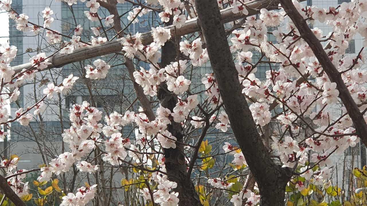 19년 20년 아이들 주말 공동육아해요~