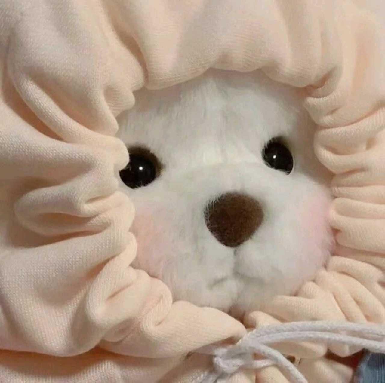 ❤️❤️안성시 공도읍 모임 ❤️❤️