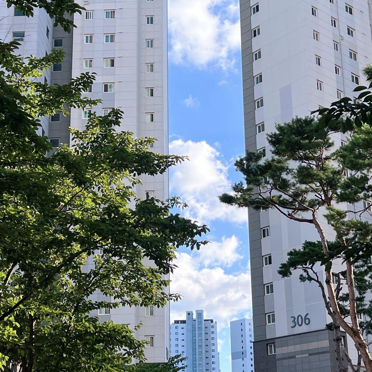 신불당동 24년 용띠 아가 공육해요🧸