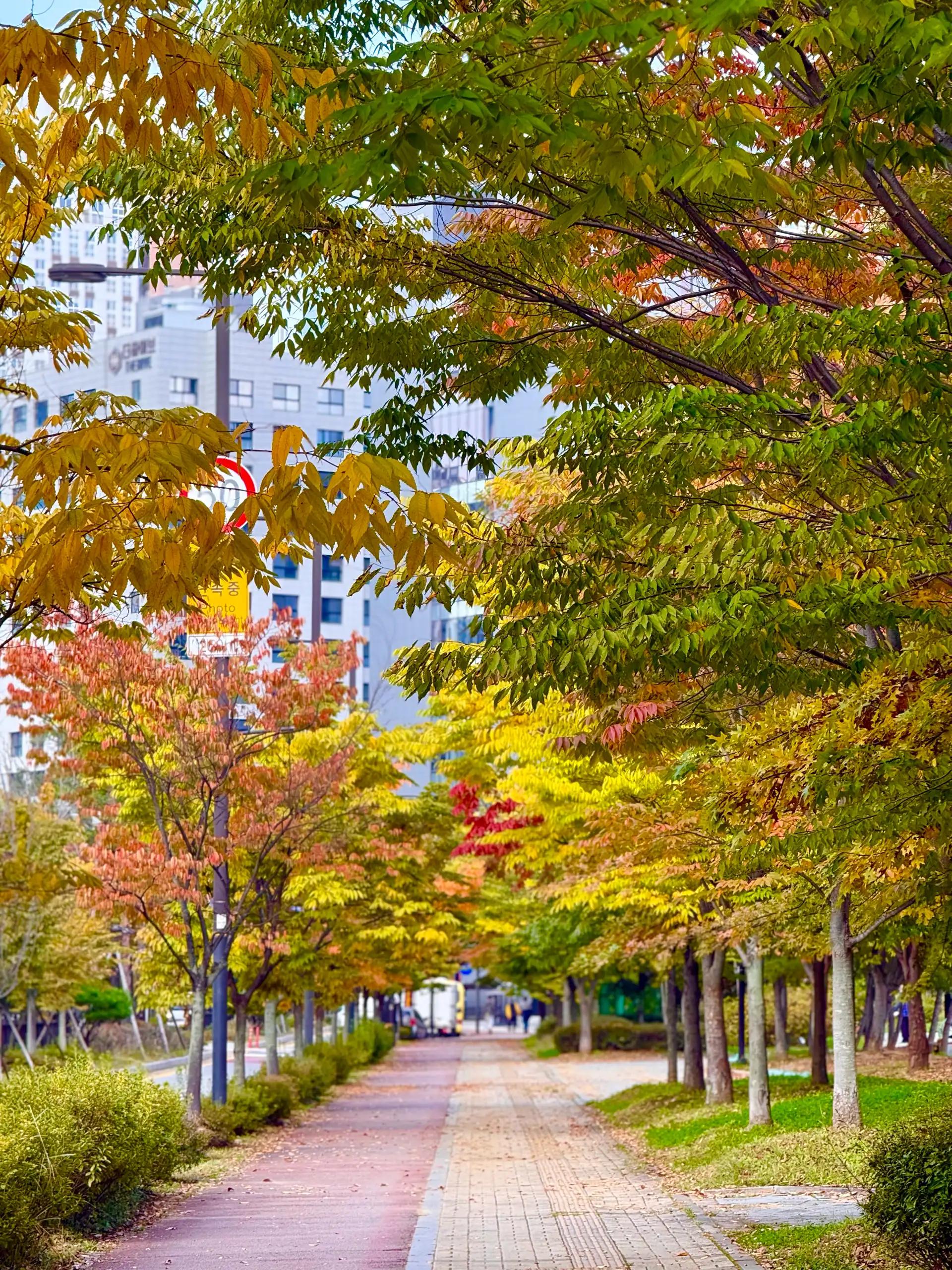 고양시 도래울 25,26년생 뱀띠말띠맘!