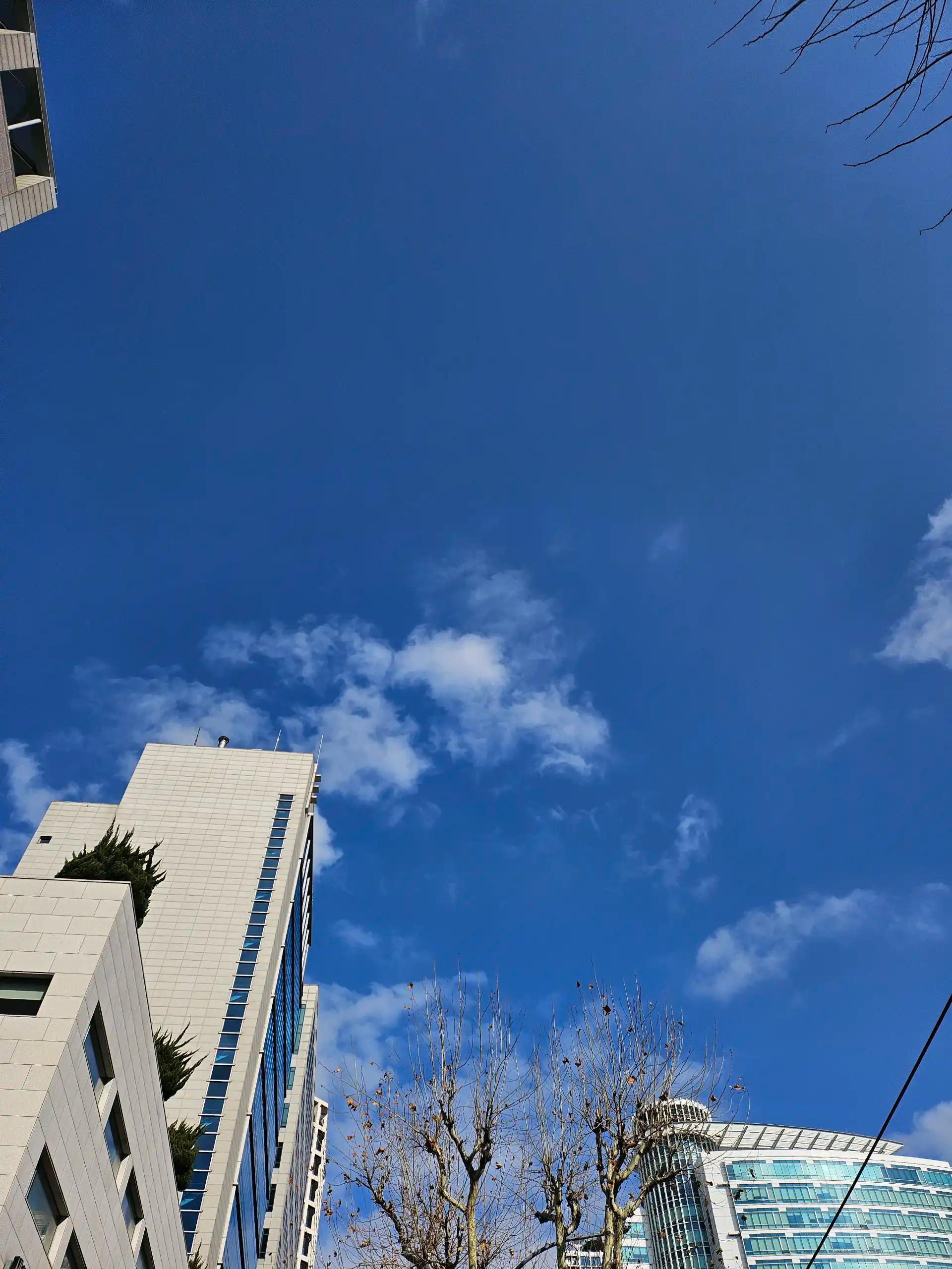 양재천 산책  👶🏻 