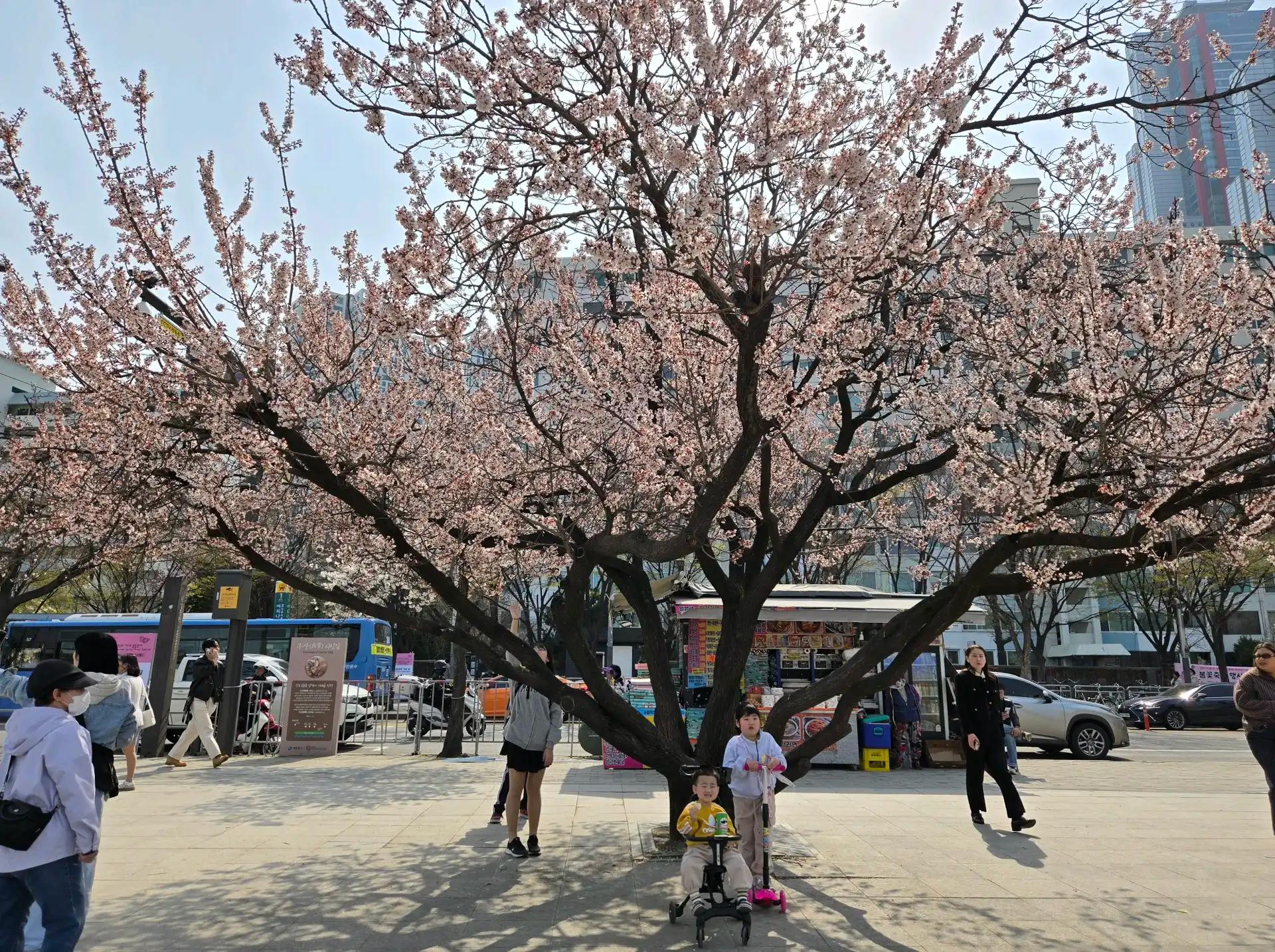 19년생22년생엄마에요 엄마들 함께 육아소통해요! 