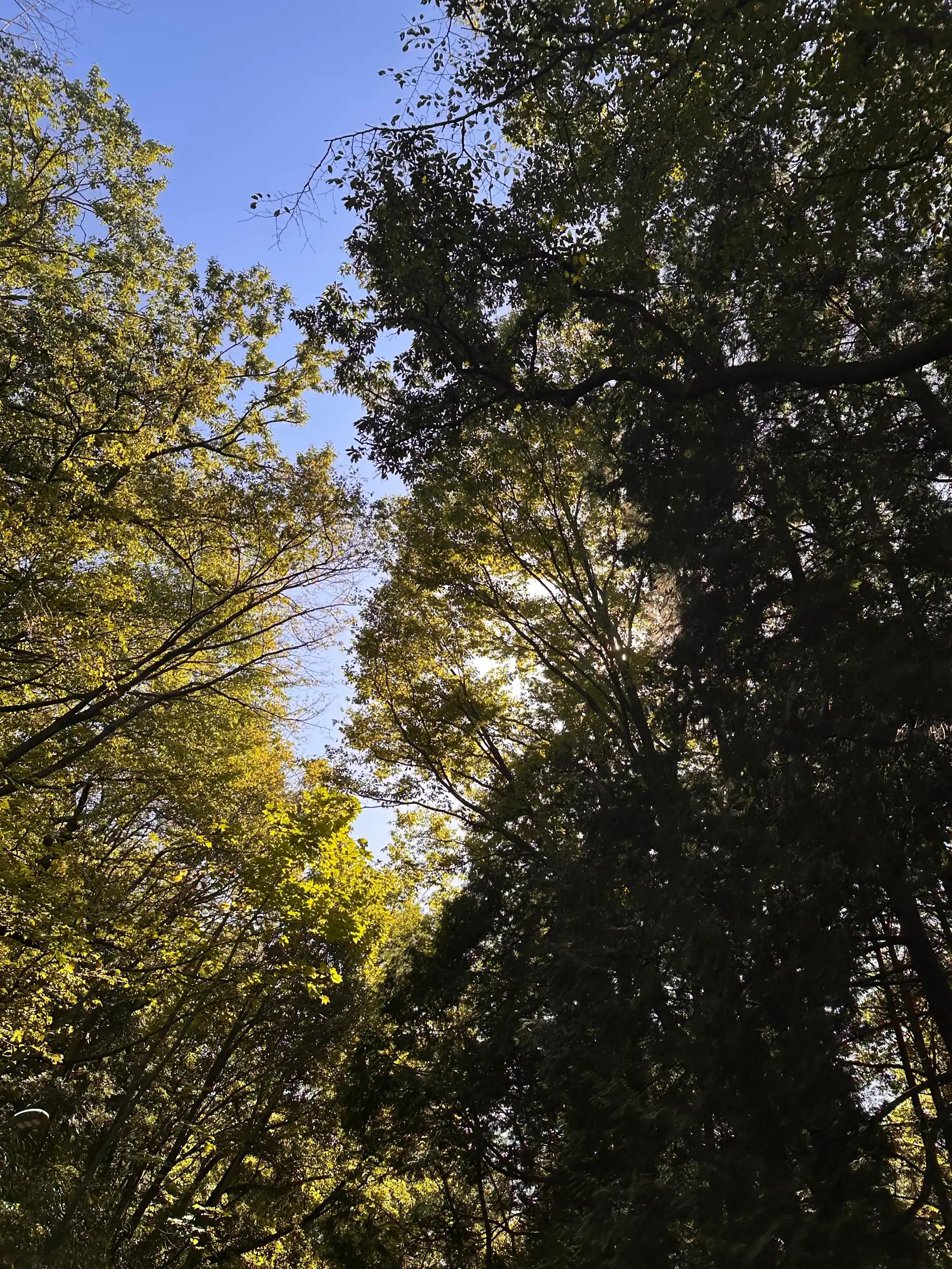 부산 23년 깡충 토끼맘❤️