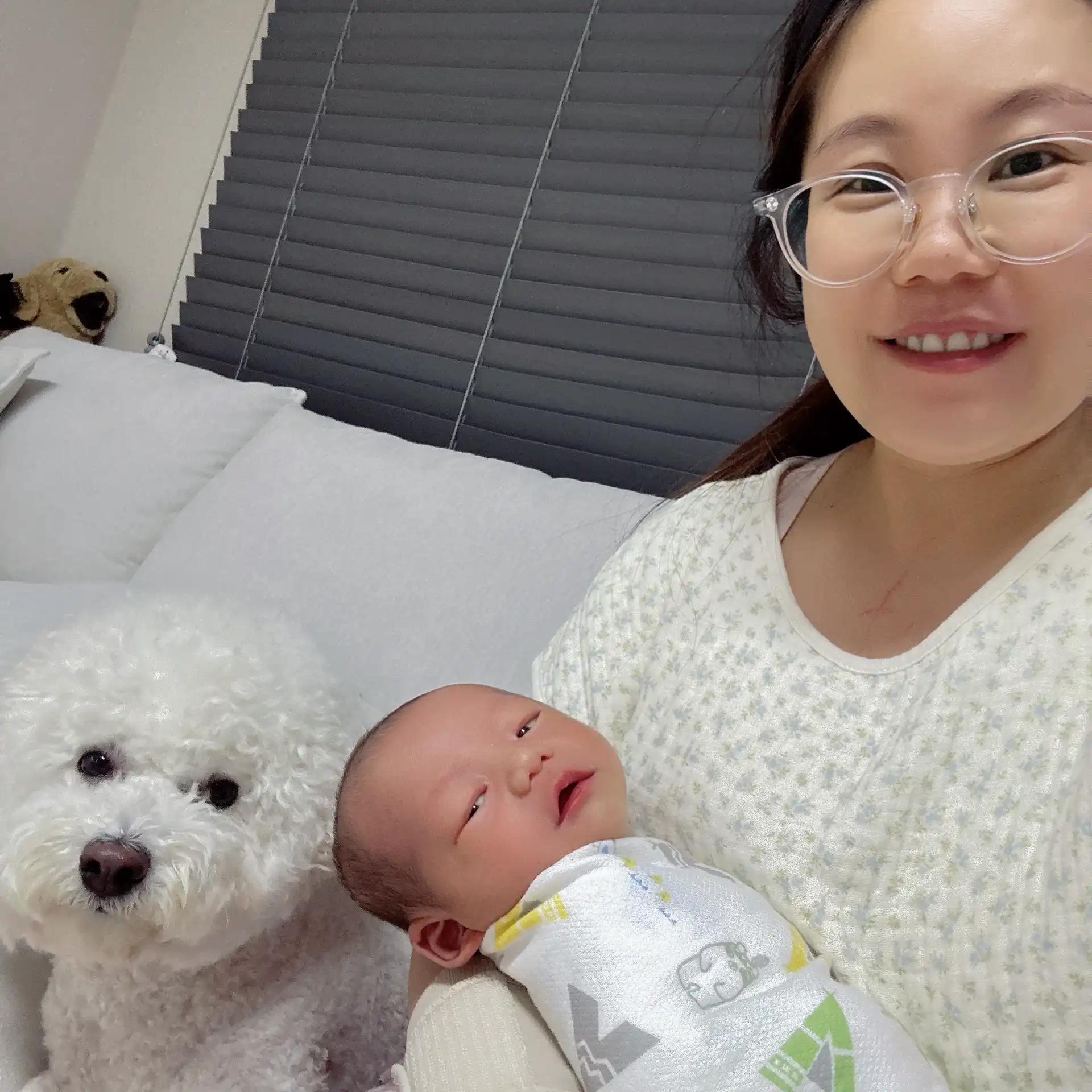 크루톡 이미지 2