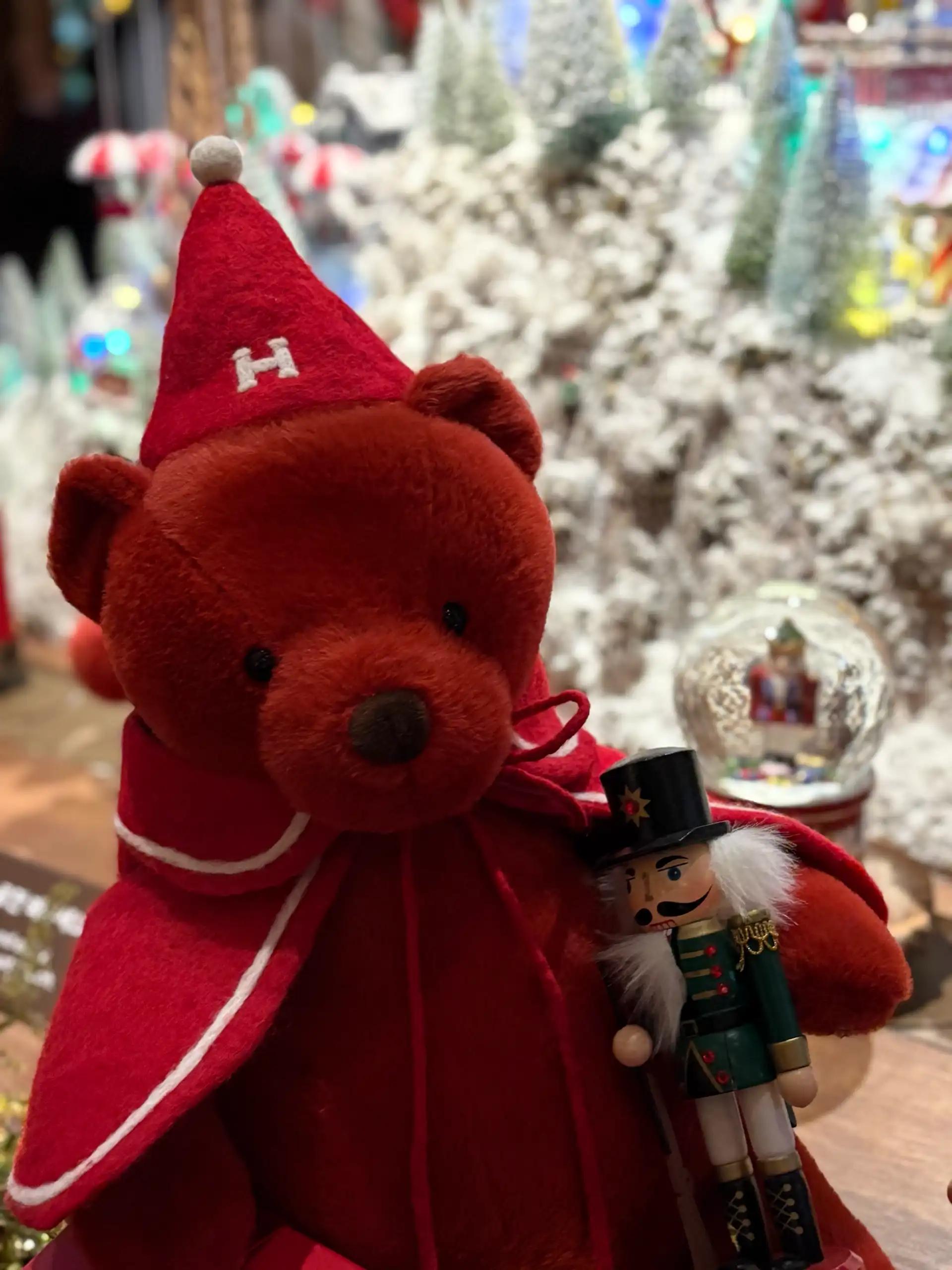 크루톡 이미지 1