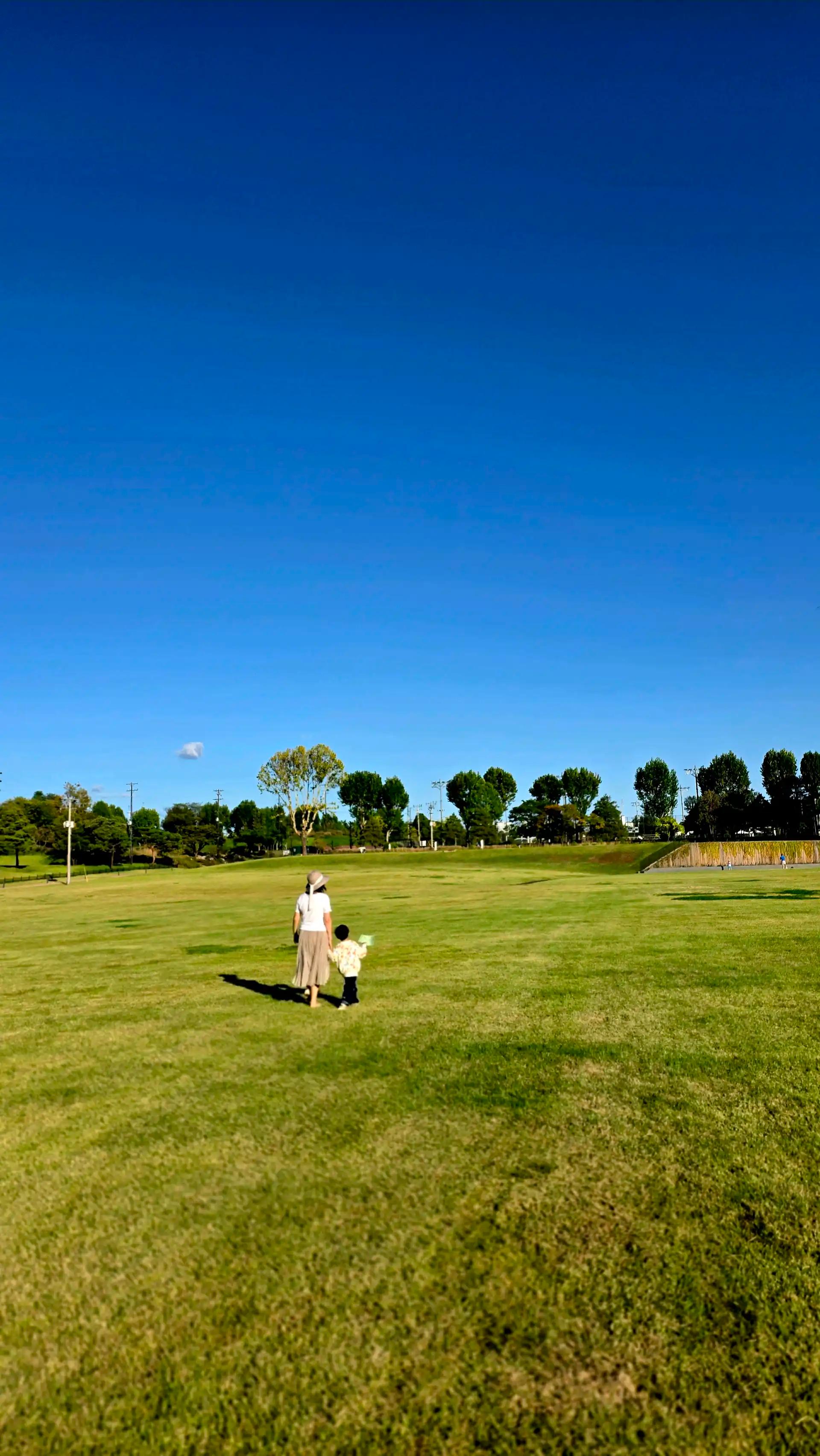 크루톡 이미지 1