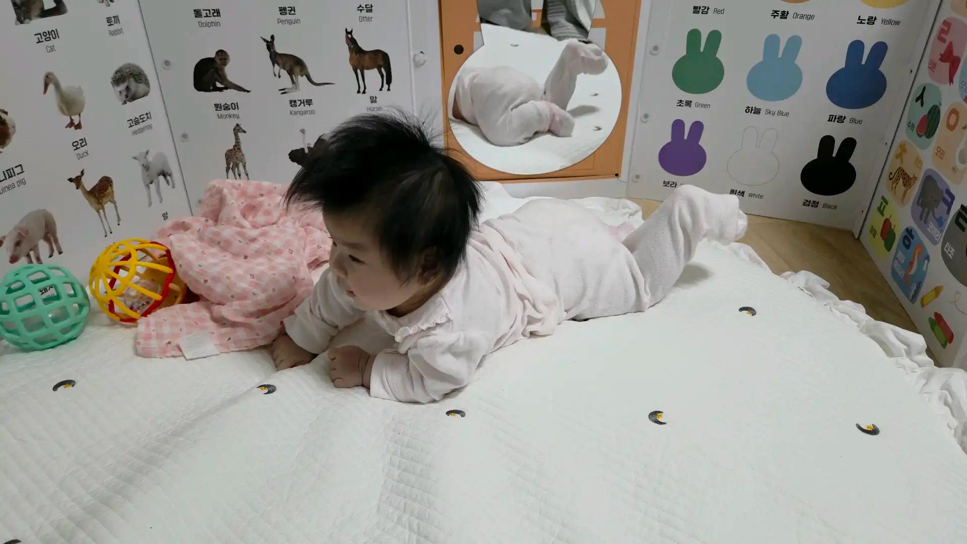 크루톡 이미지 2