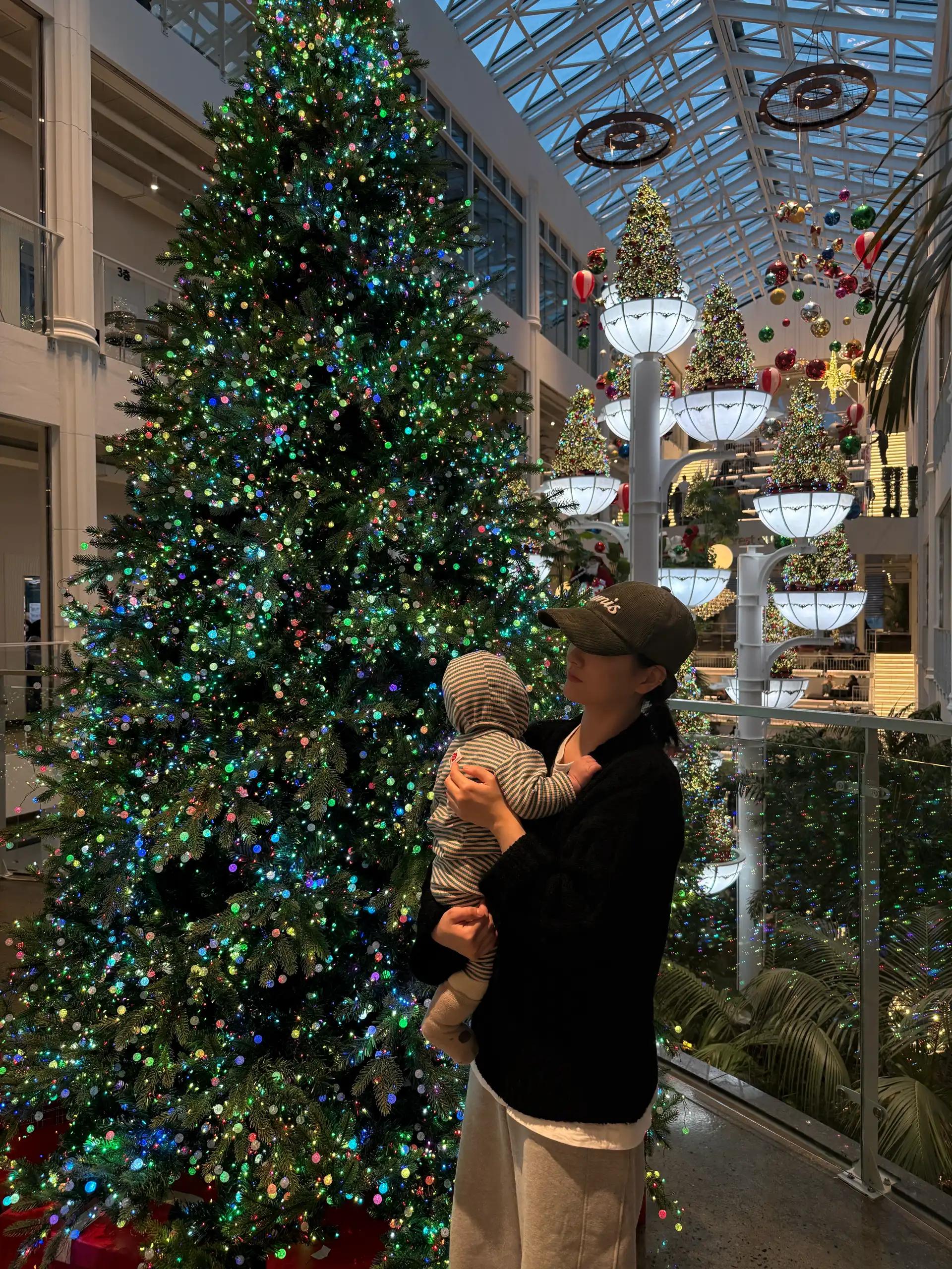 크루톡 이미지 1