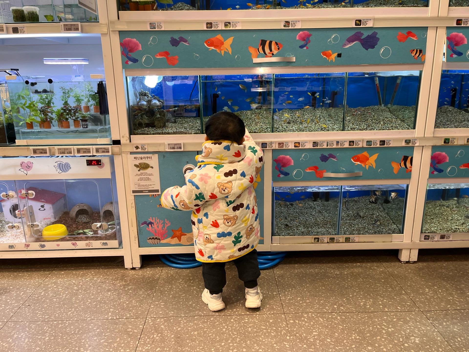 크루톡 이미지 2