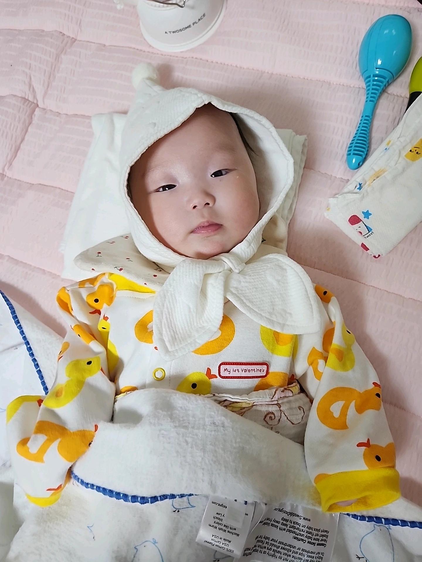 크루톡 이미지