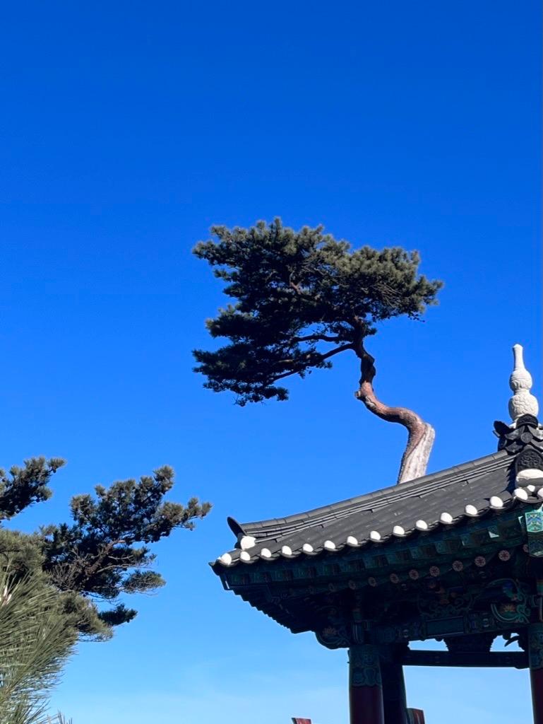 크루톡 이미지 1