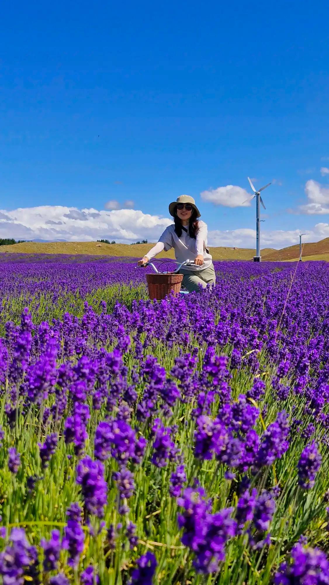 크루톡 이미지 1