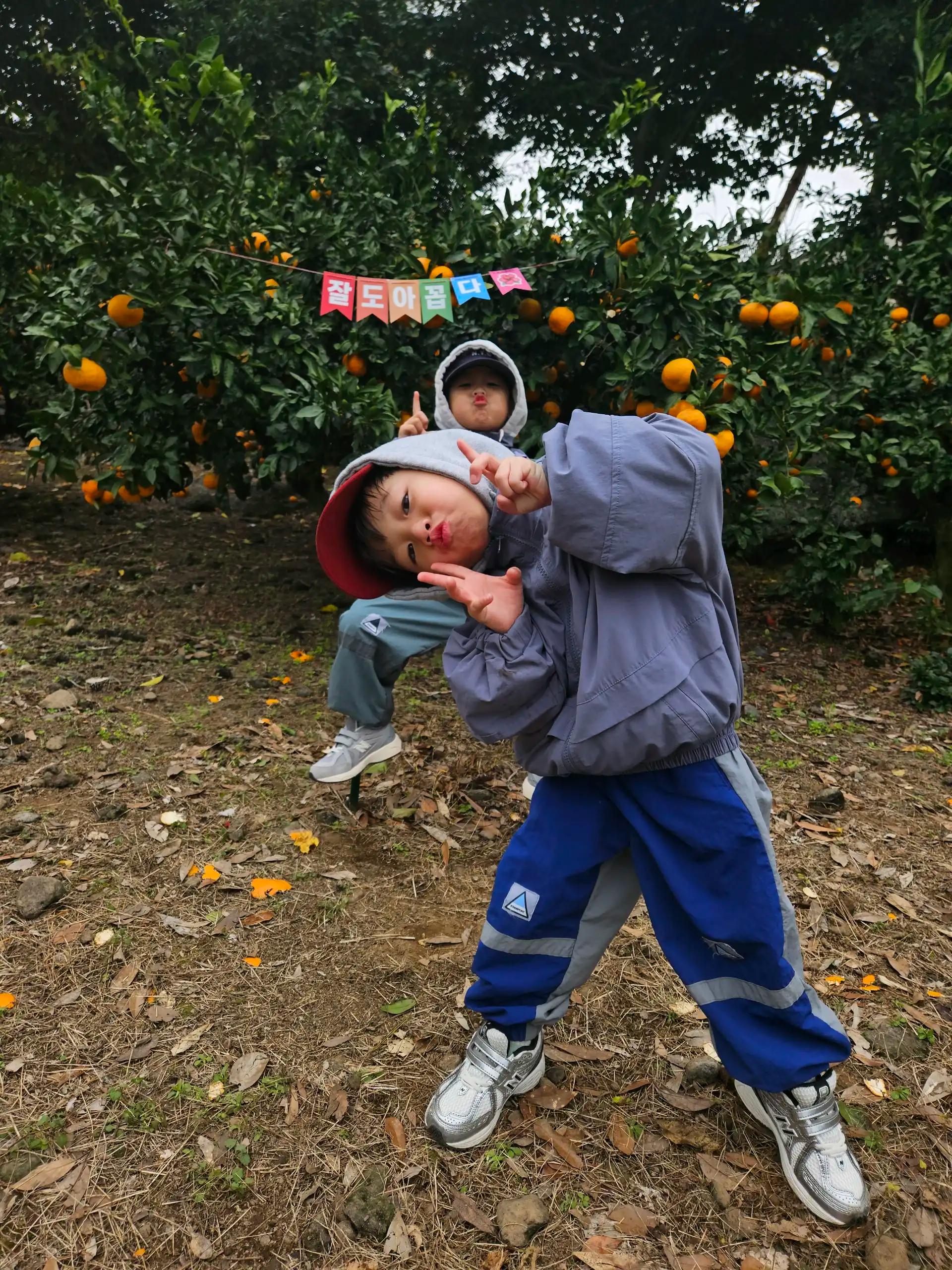 크루톡 이미지