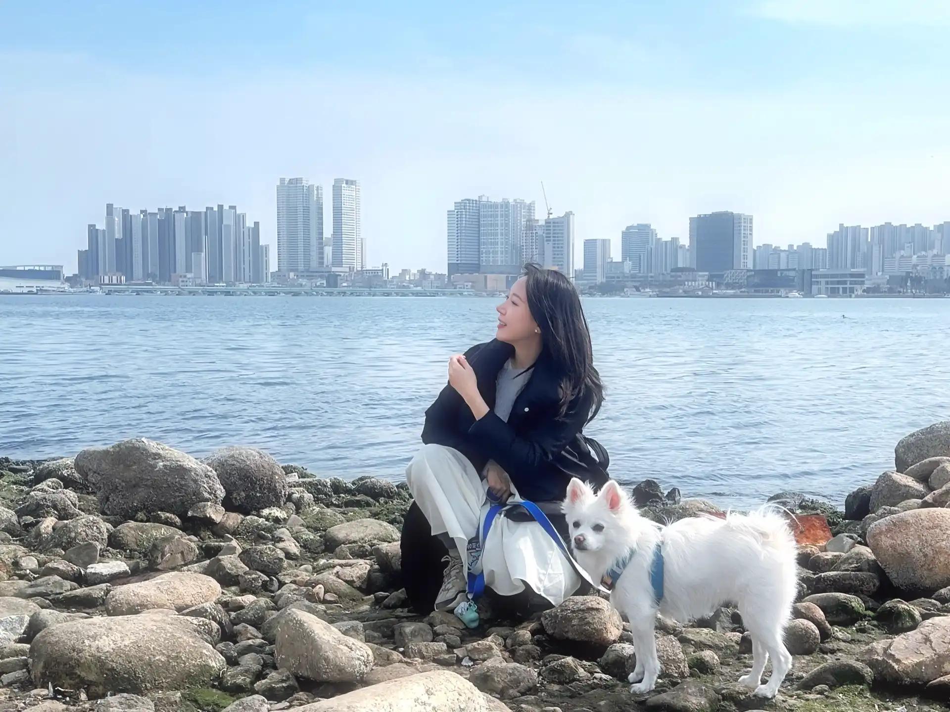 크루톡 이미지