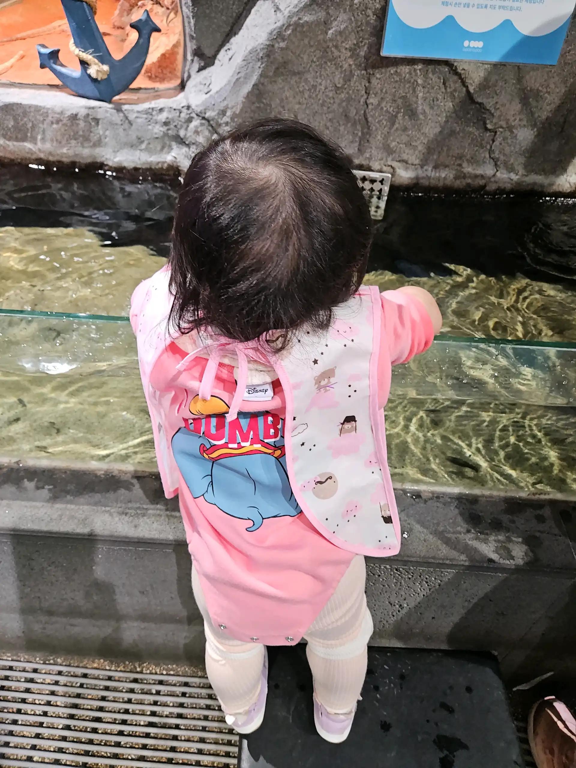 크루톡 이미지
