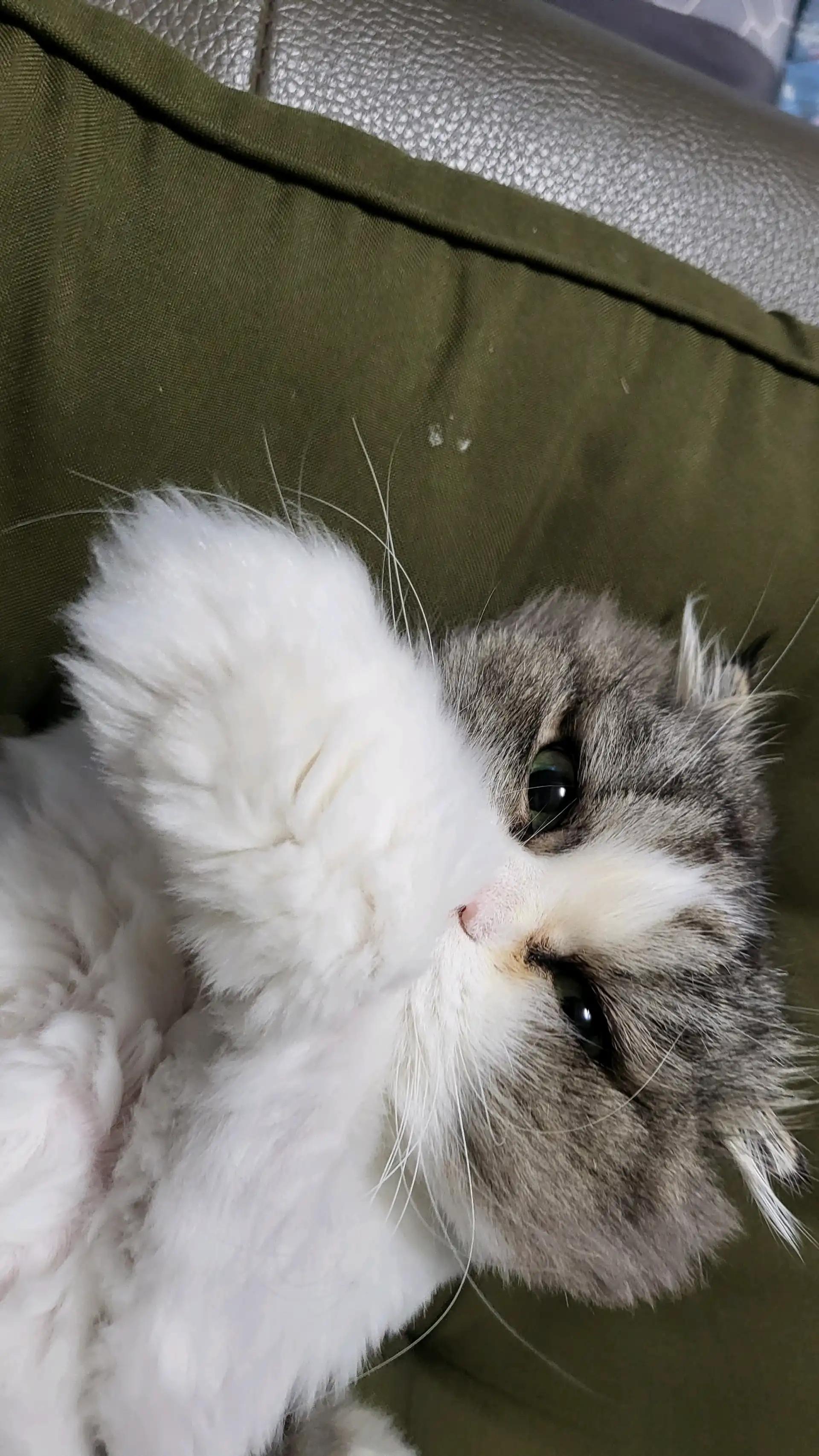 크루톡 이미지 1