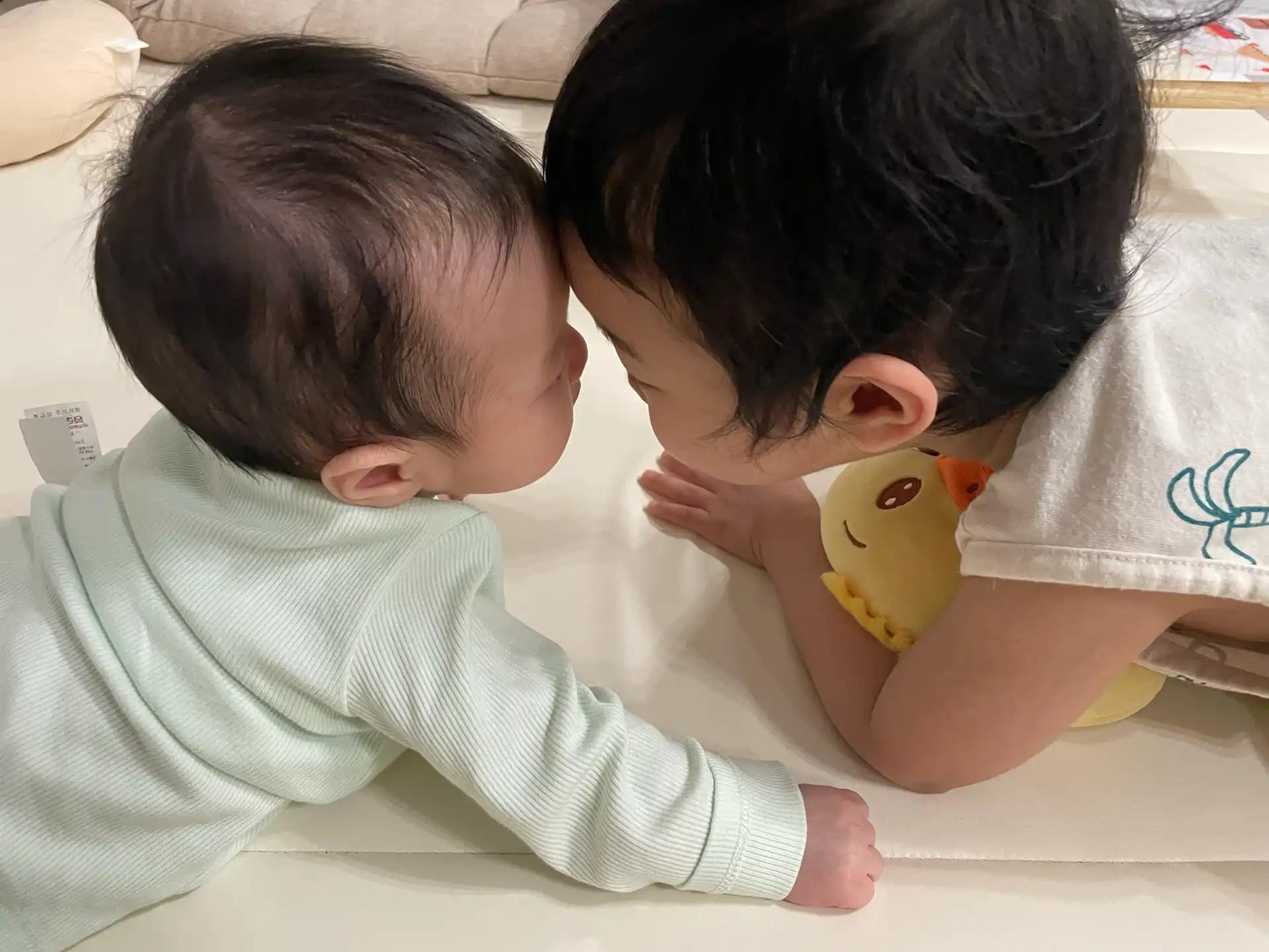 크루톡 이미지 2