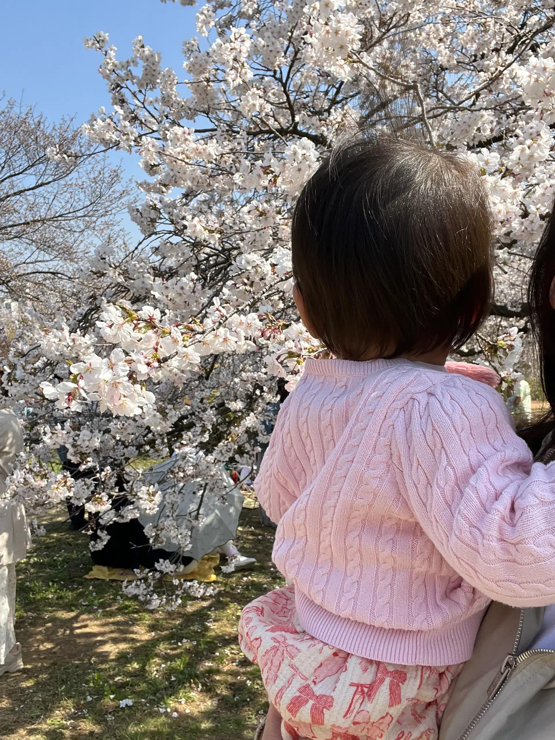 크루톡 이미지 1