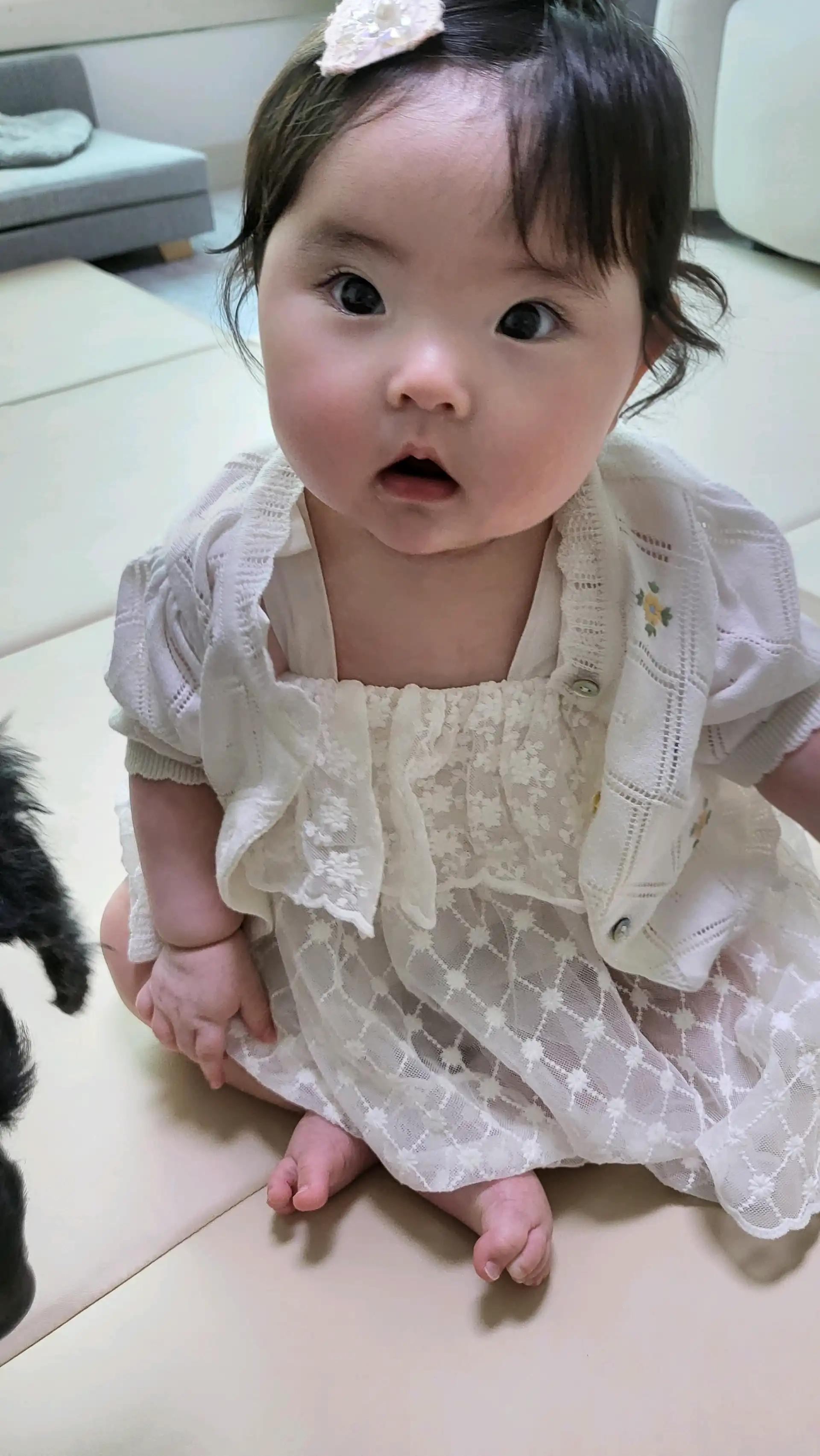 크루톡 이미지