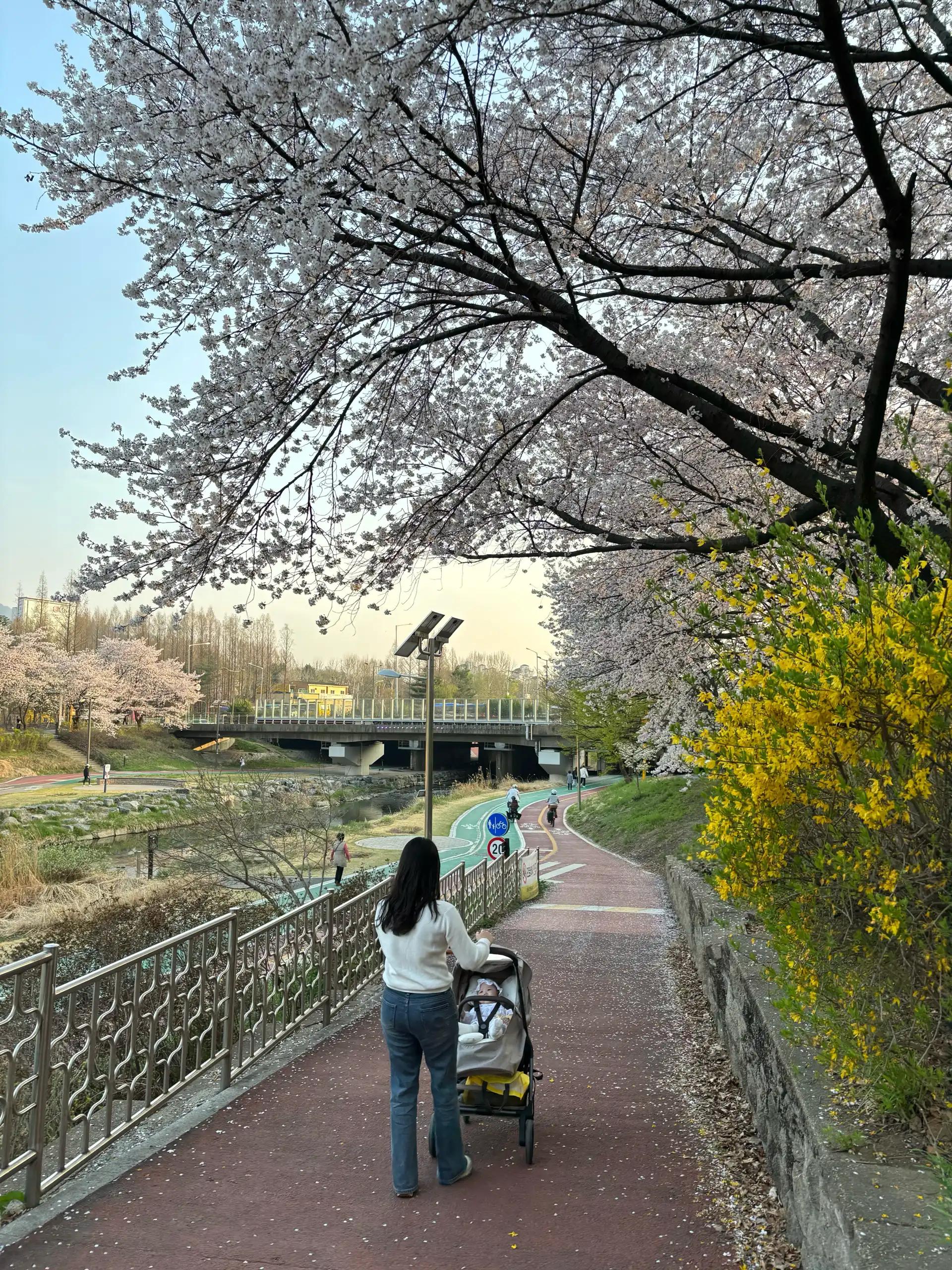 크루톡 이미지