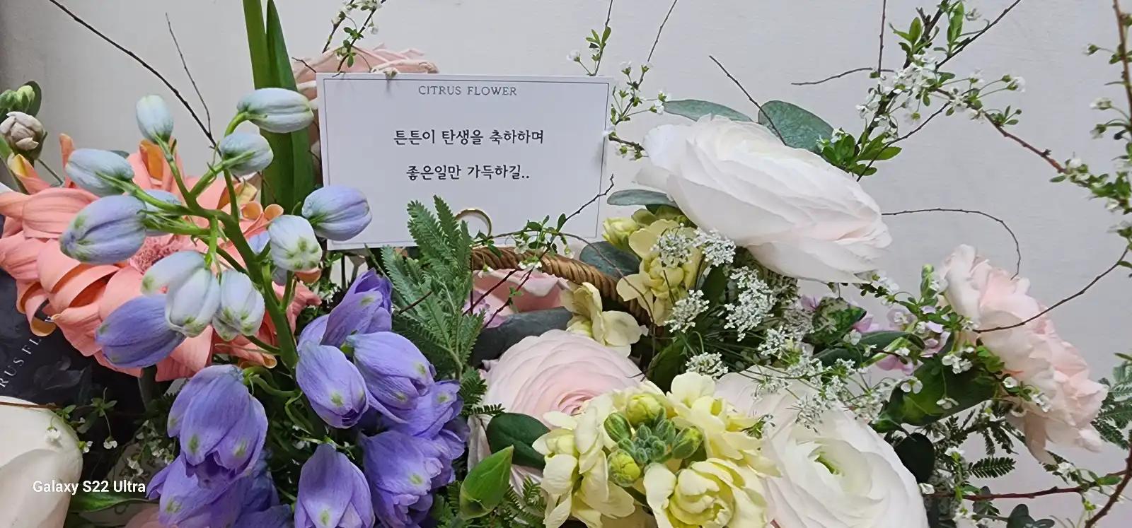 크루톡 이미지