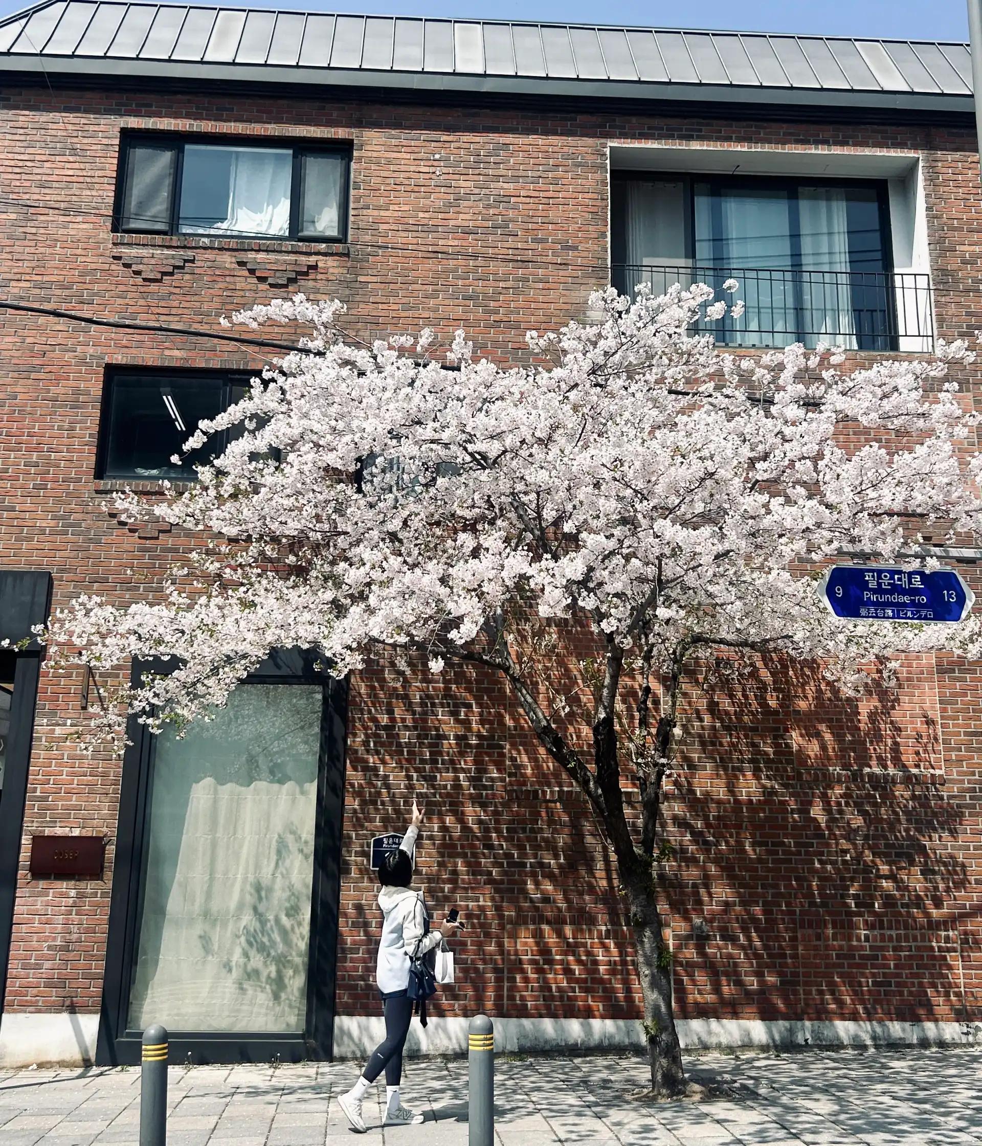 크루톡 이미지