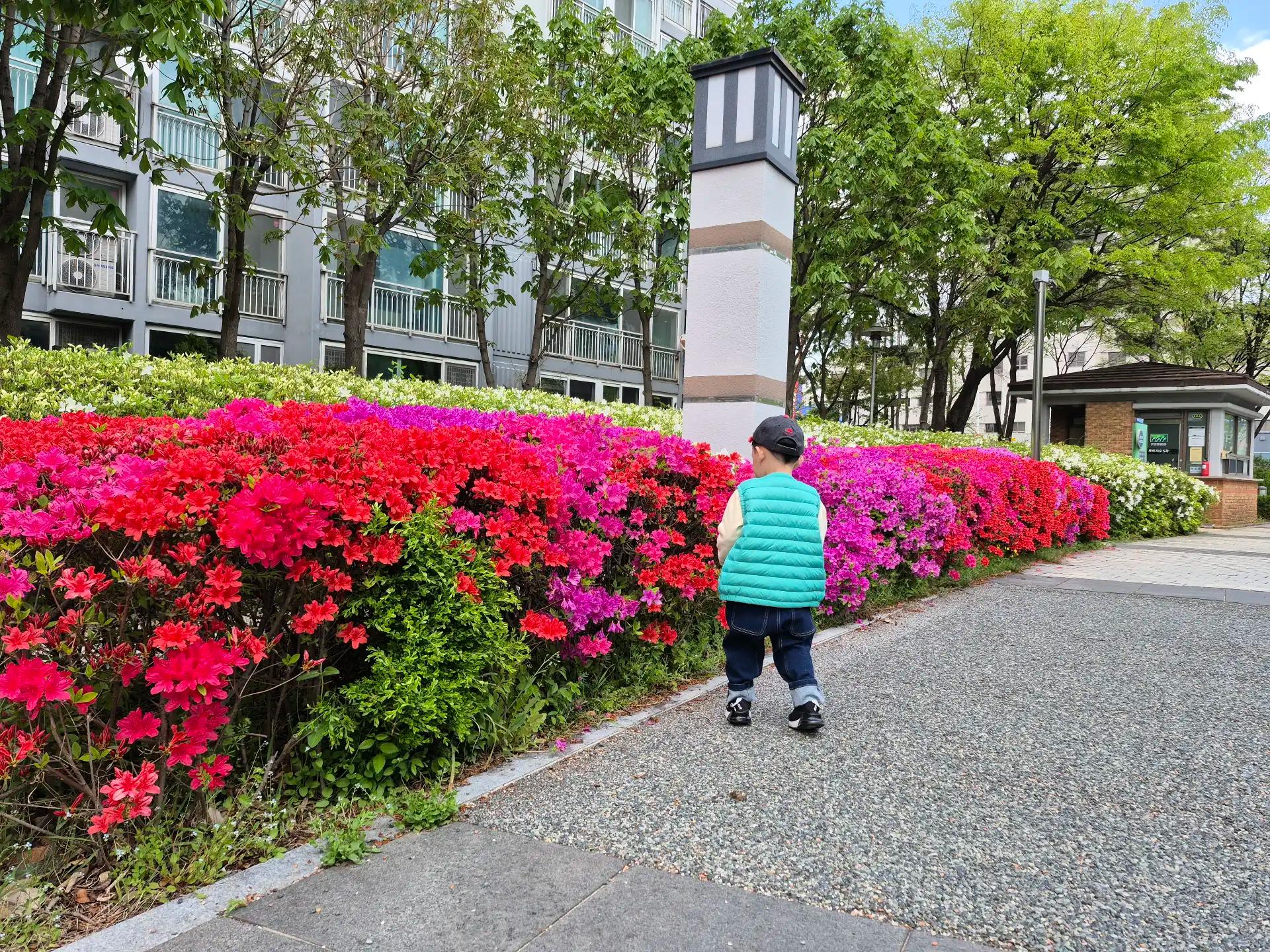 크루톡 이미지