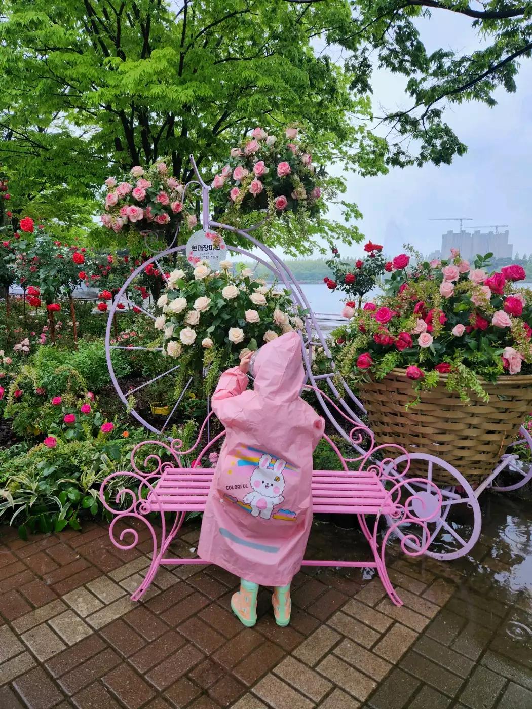 크루톡 이미지