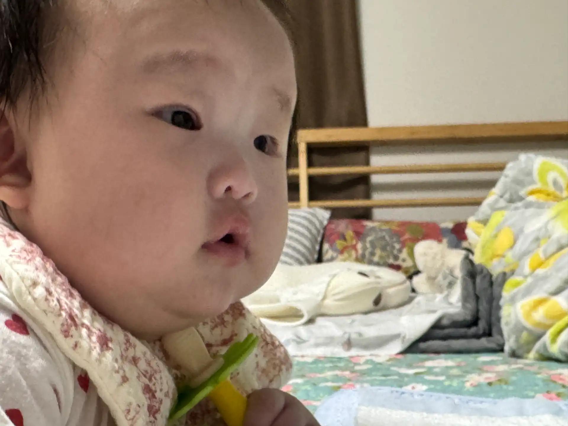 크루톡 이미지