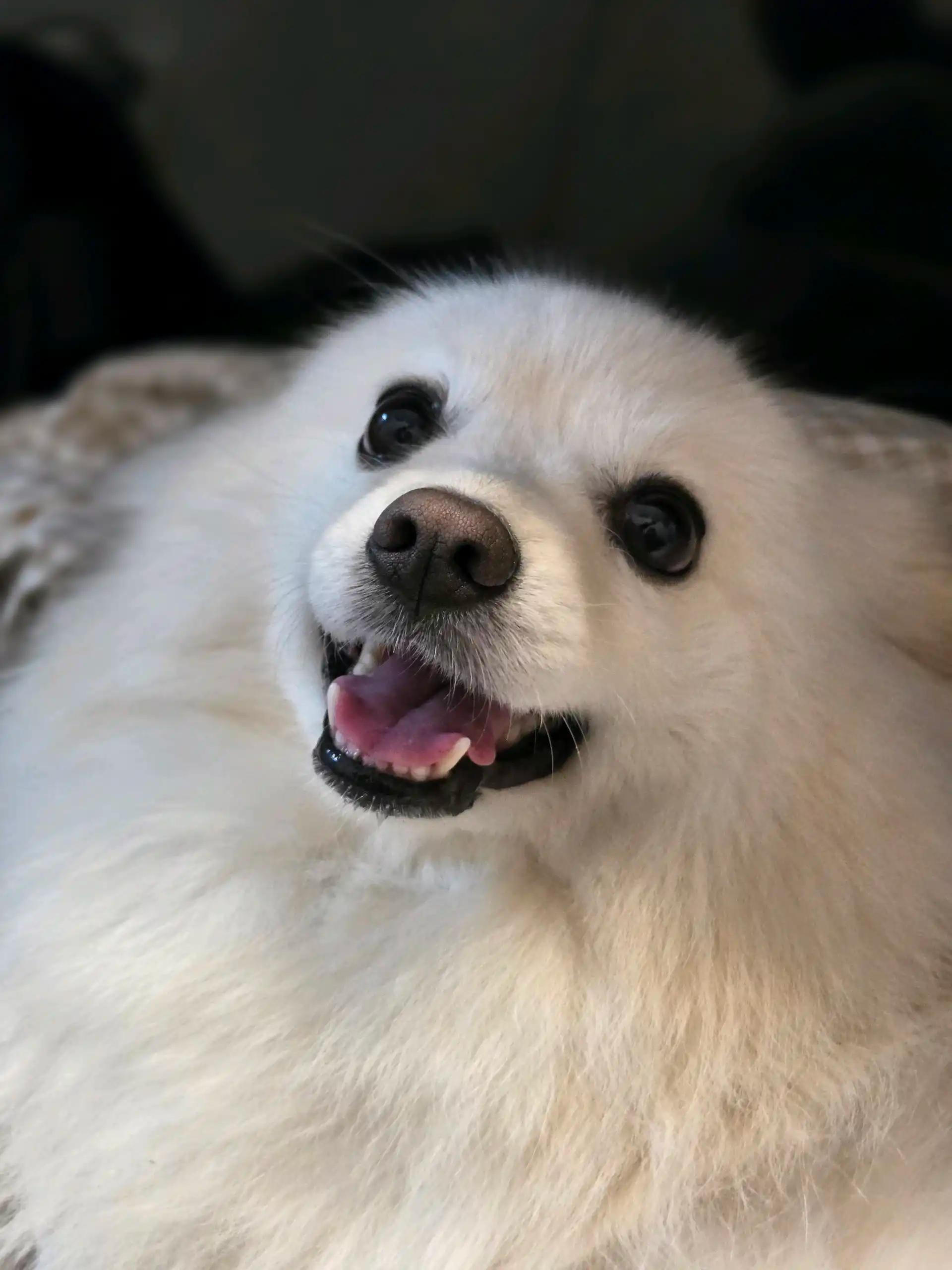 크루톡 이미지
