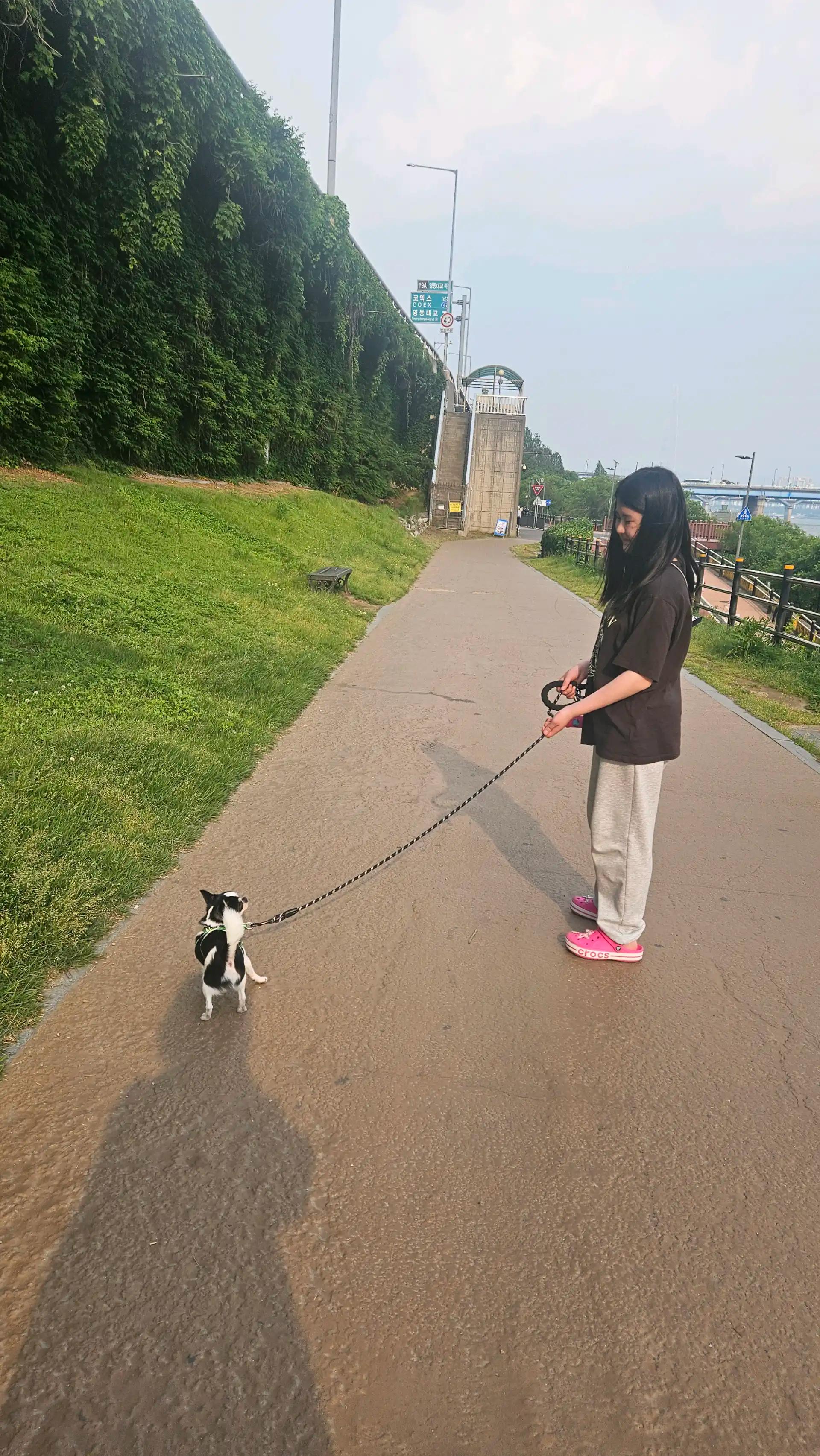 크루톡 이미지