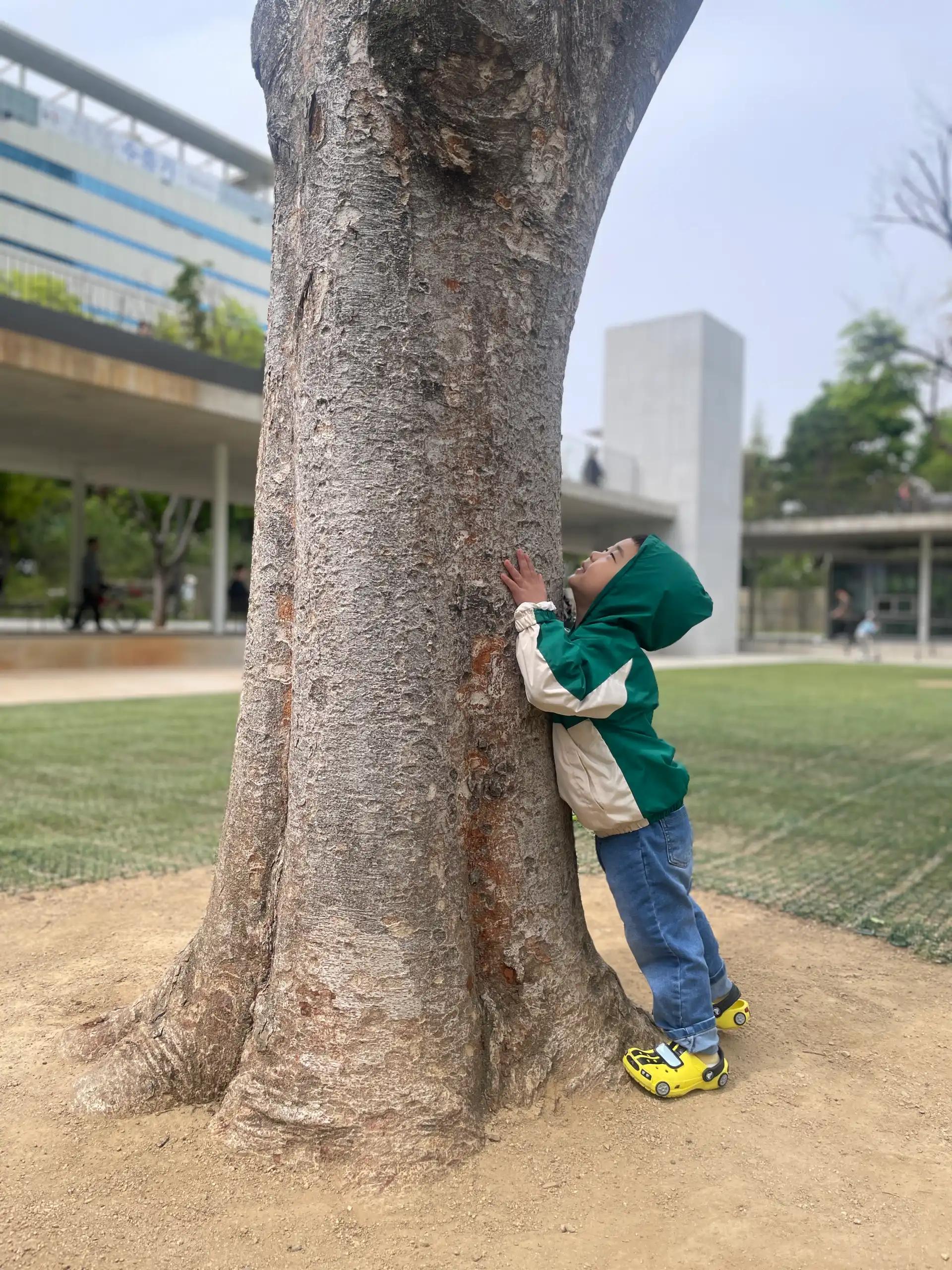 크루톡 이미지