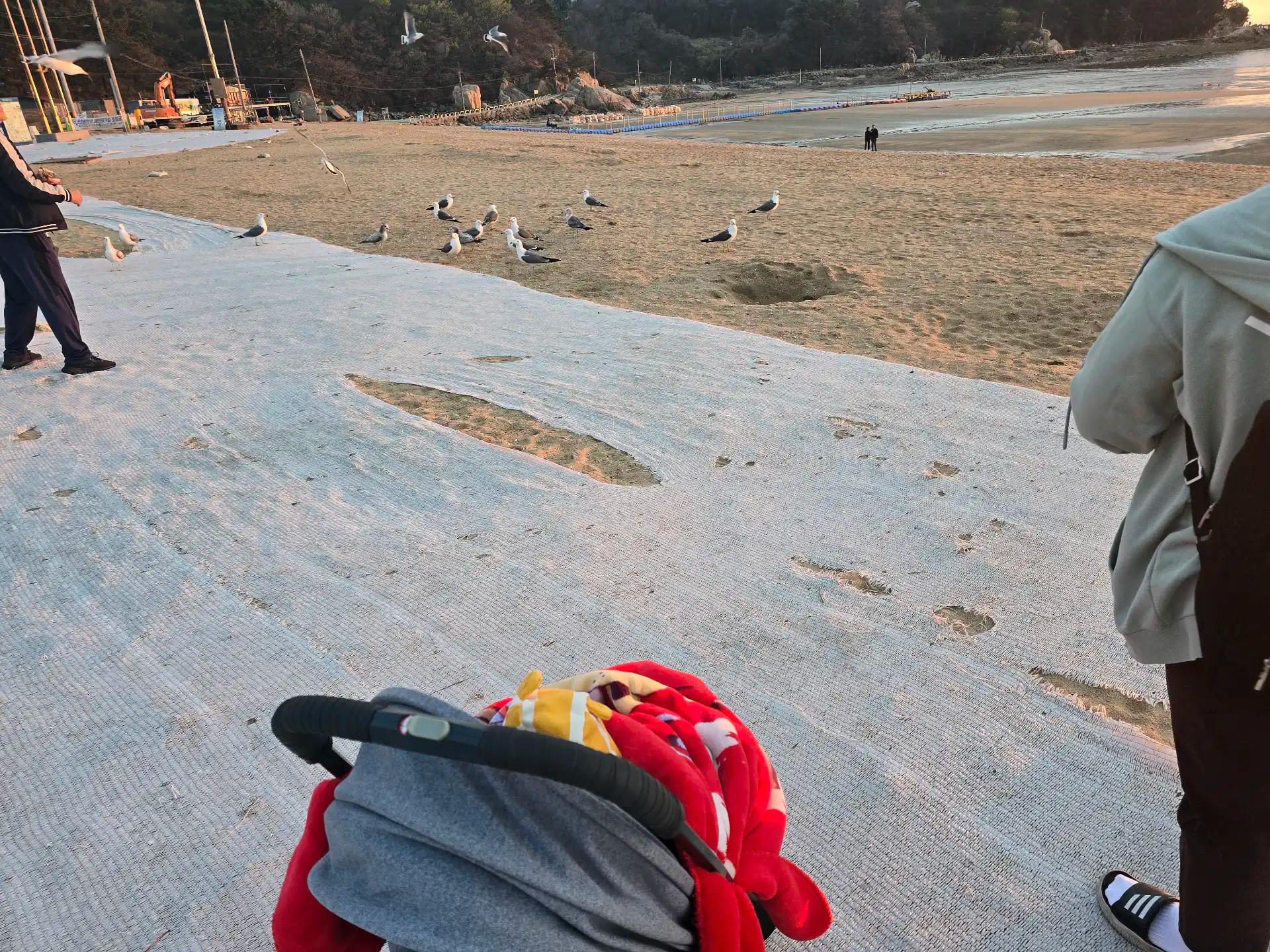 크루톡 이미지