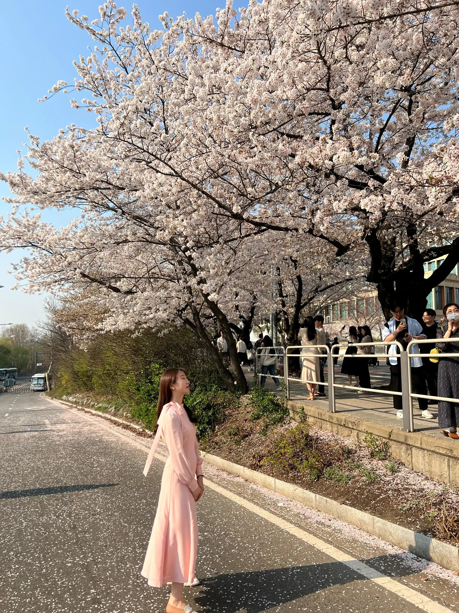 크루톡 이미지