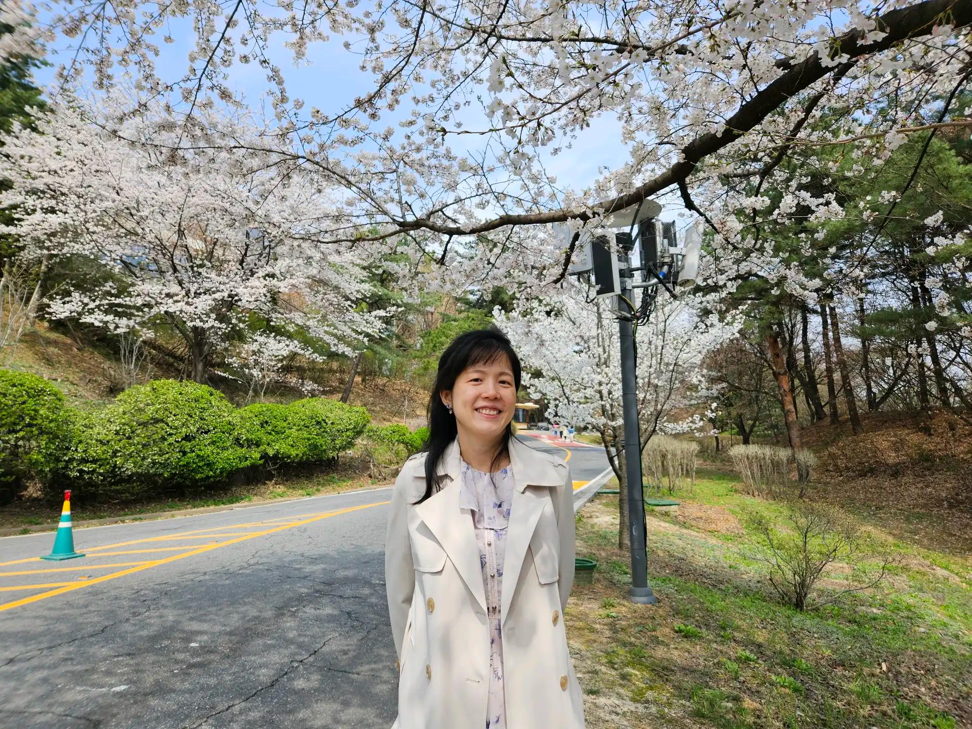 크루톡 이미지