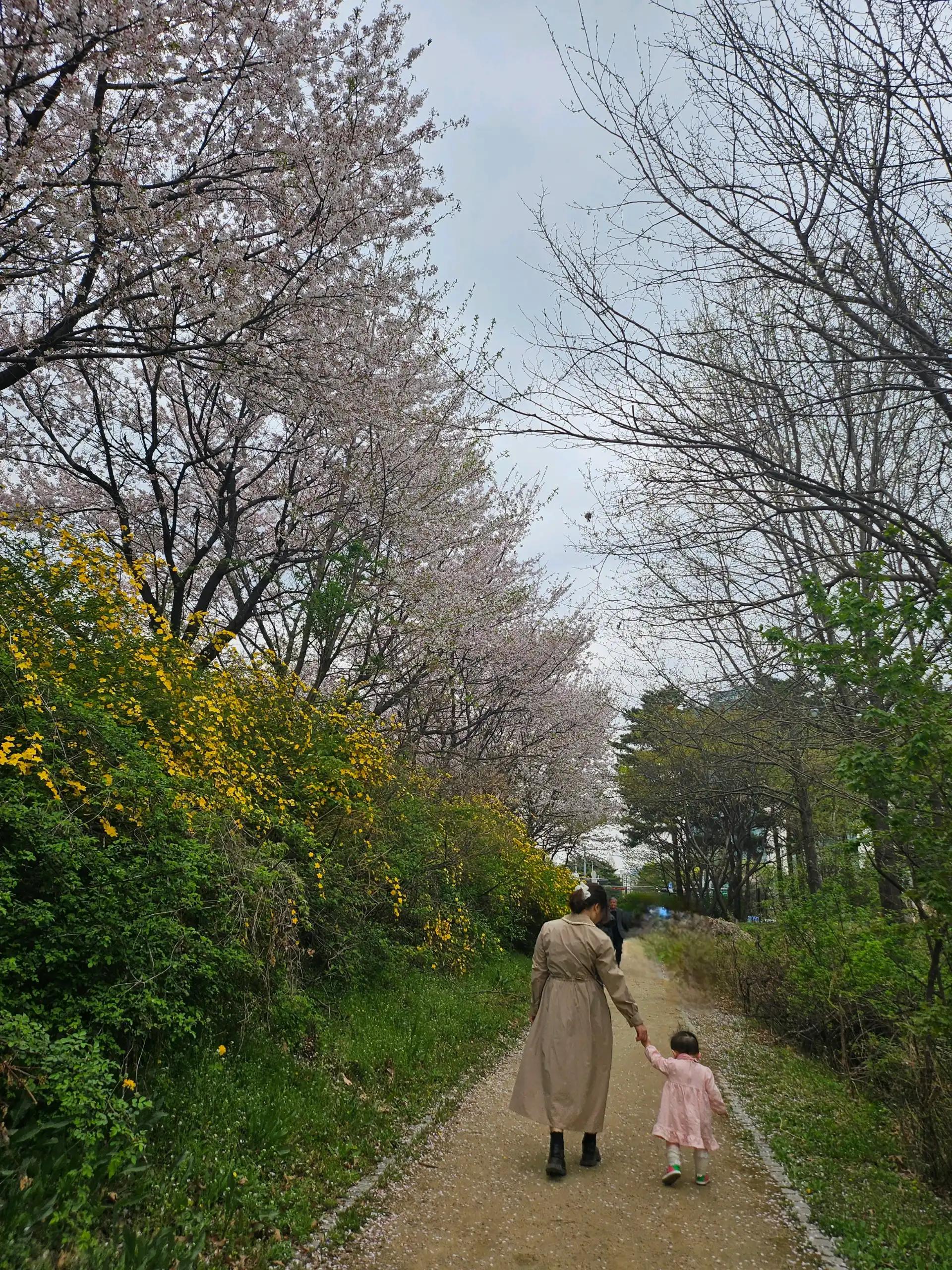 크루톡 이미지