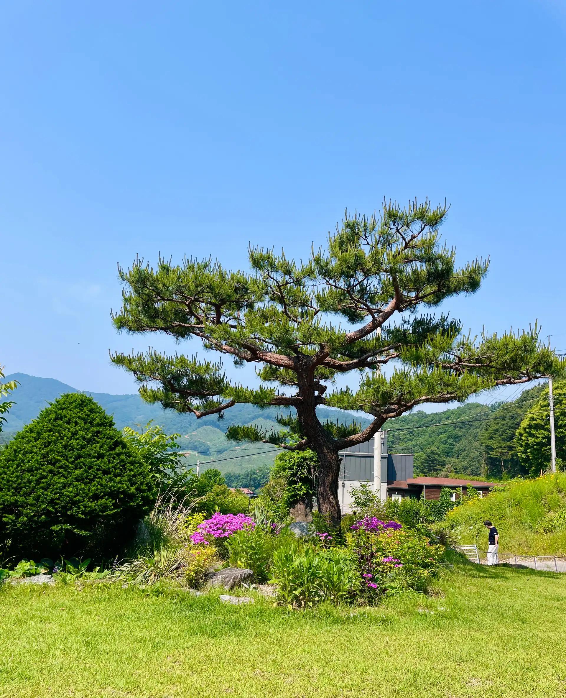 크루톡 이미지