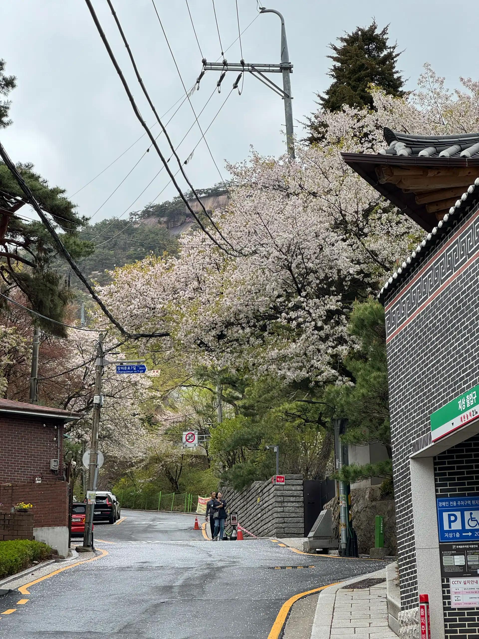크루톡 이미지 1
