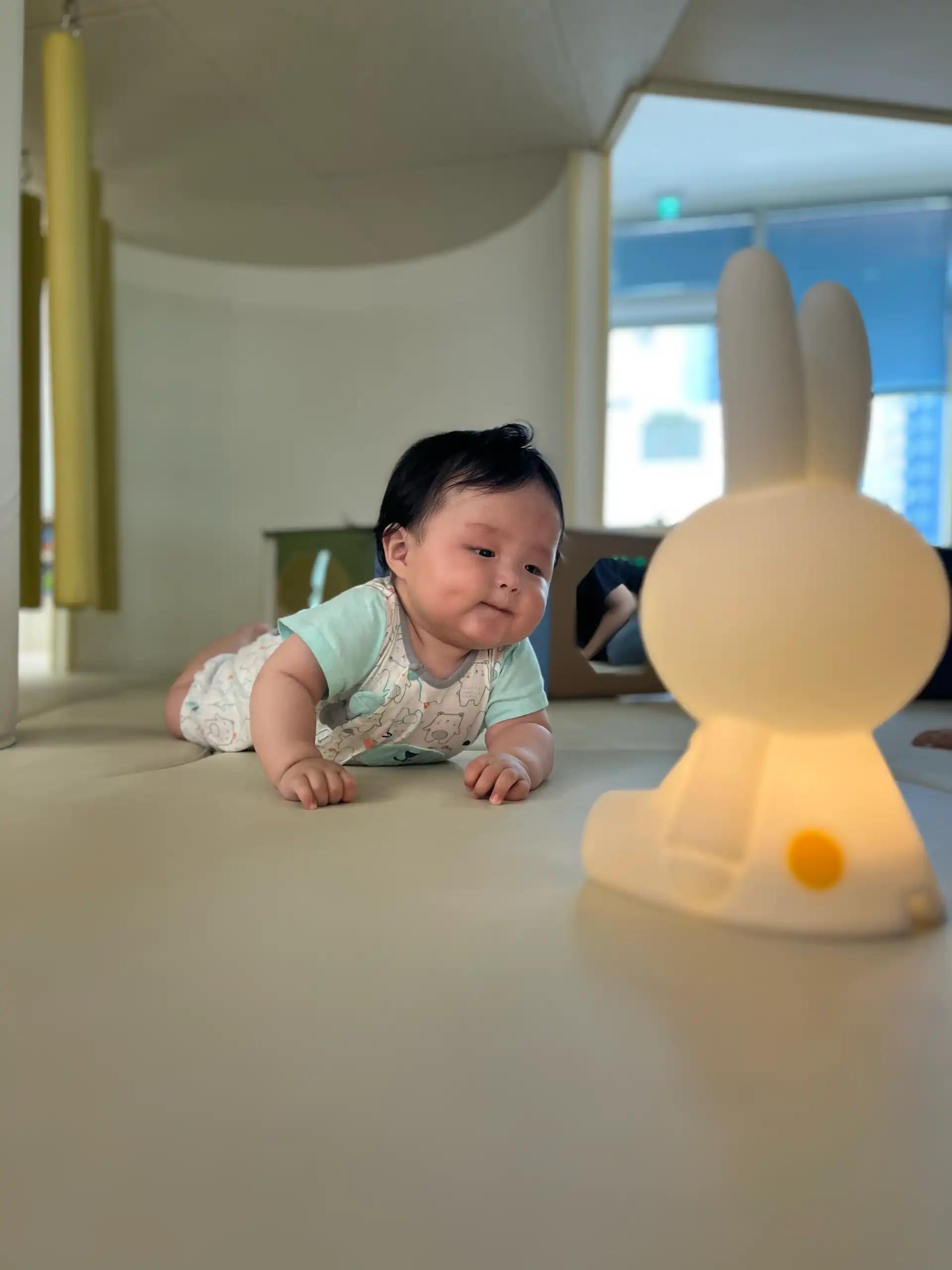 크루톡 이미지 4
