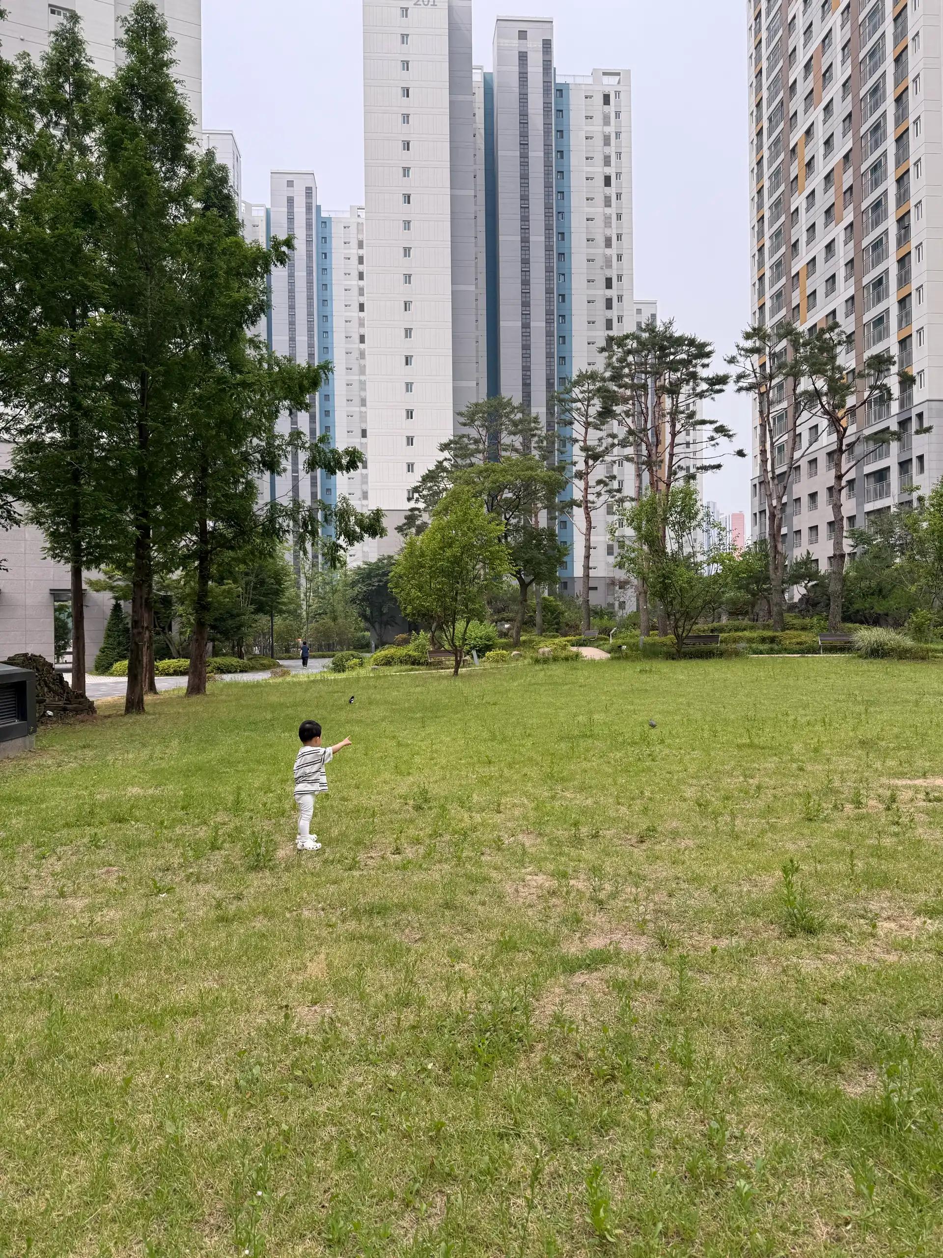 크루톡 이미지