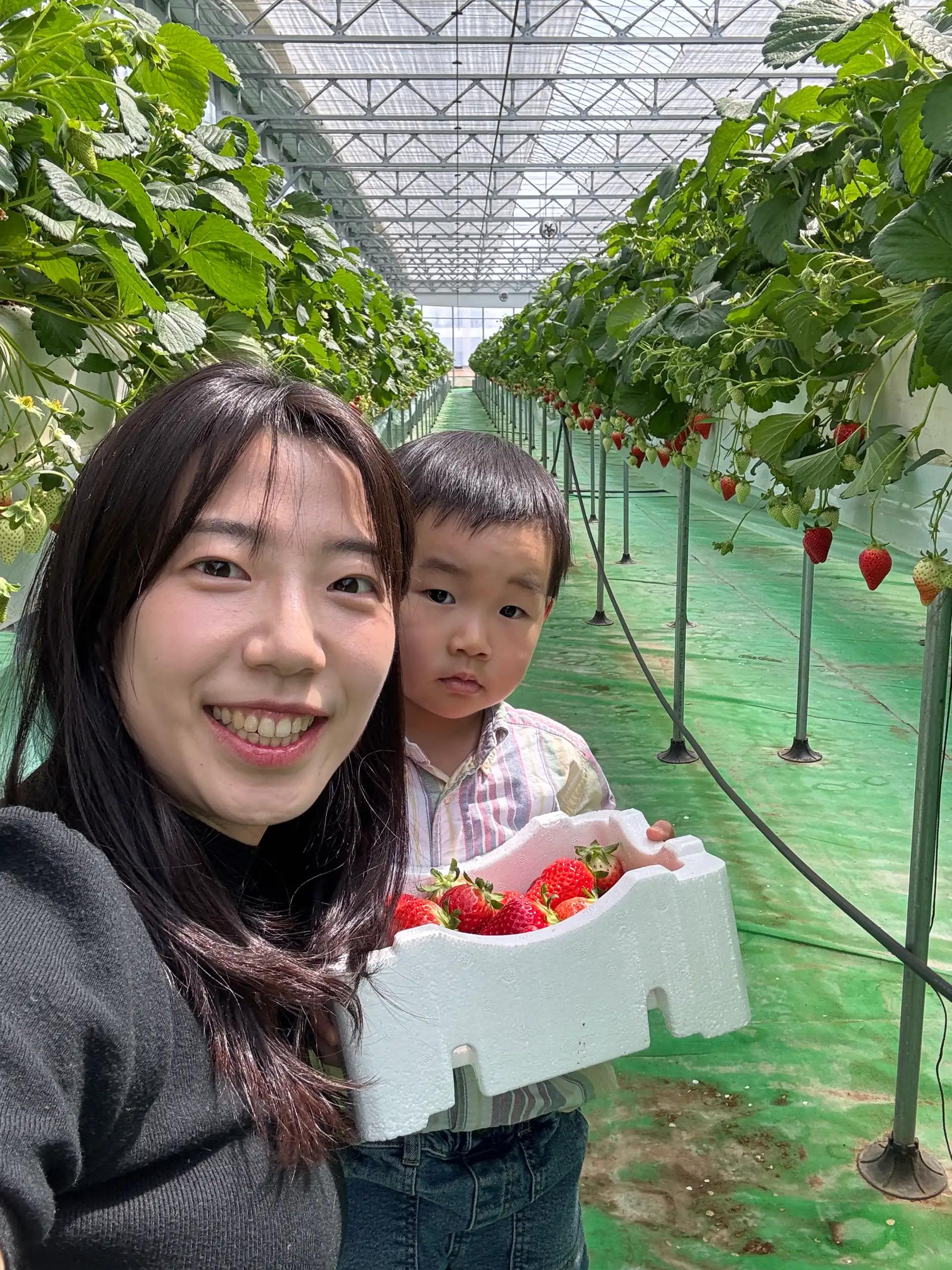 크루톡 이미지 3