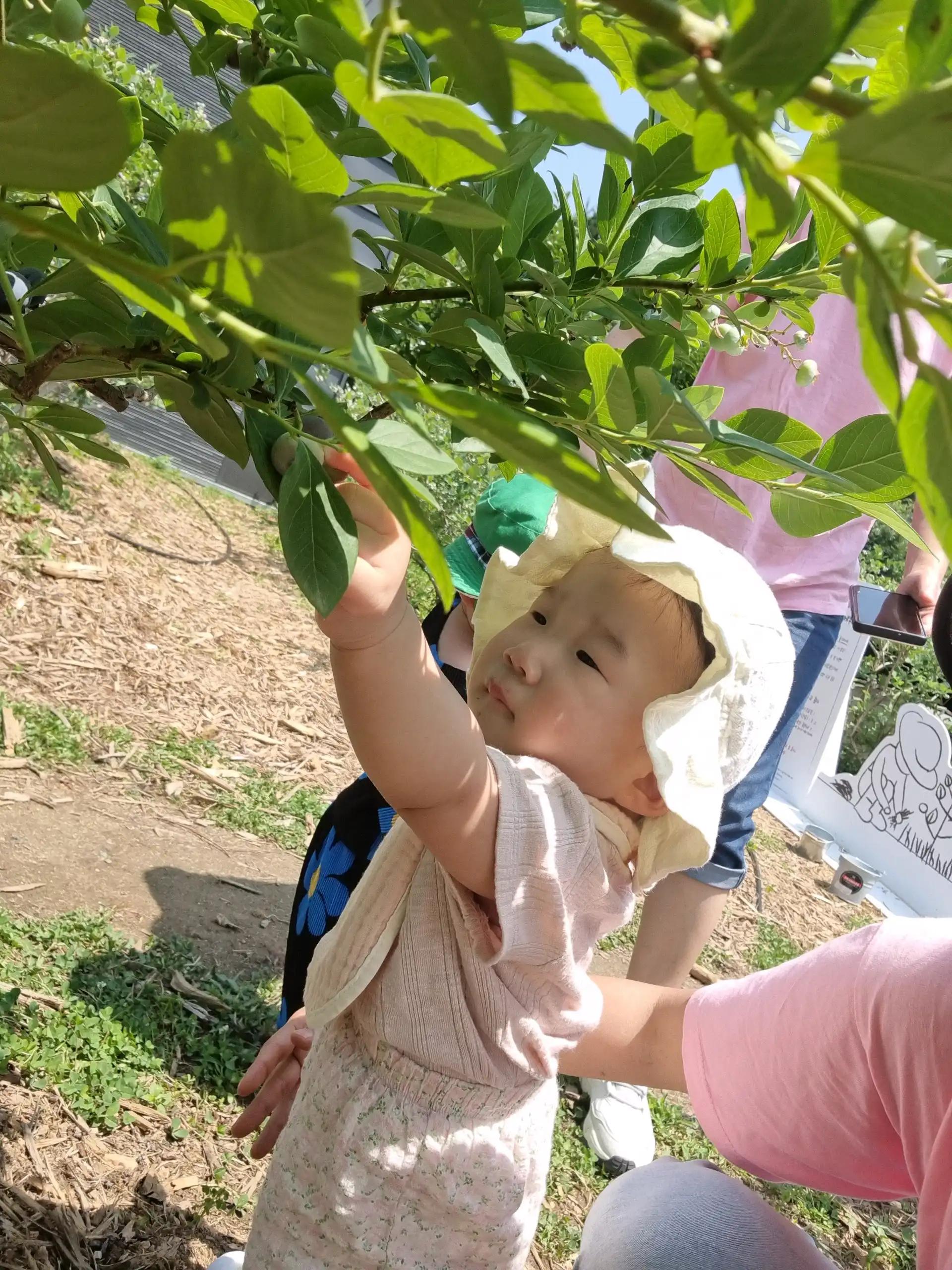크루톡 이미지