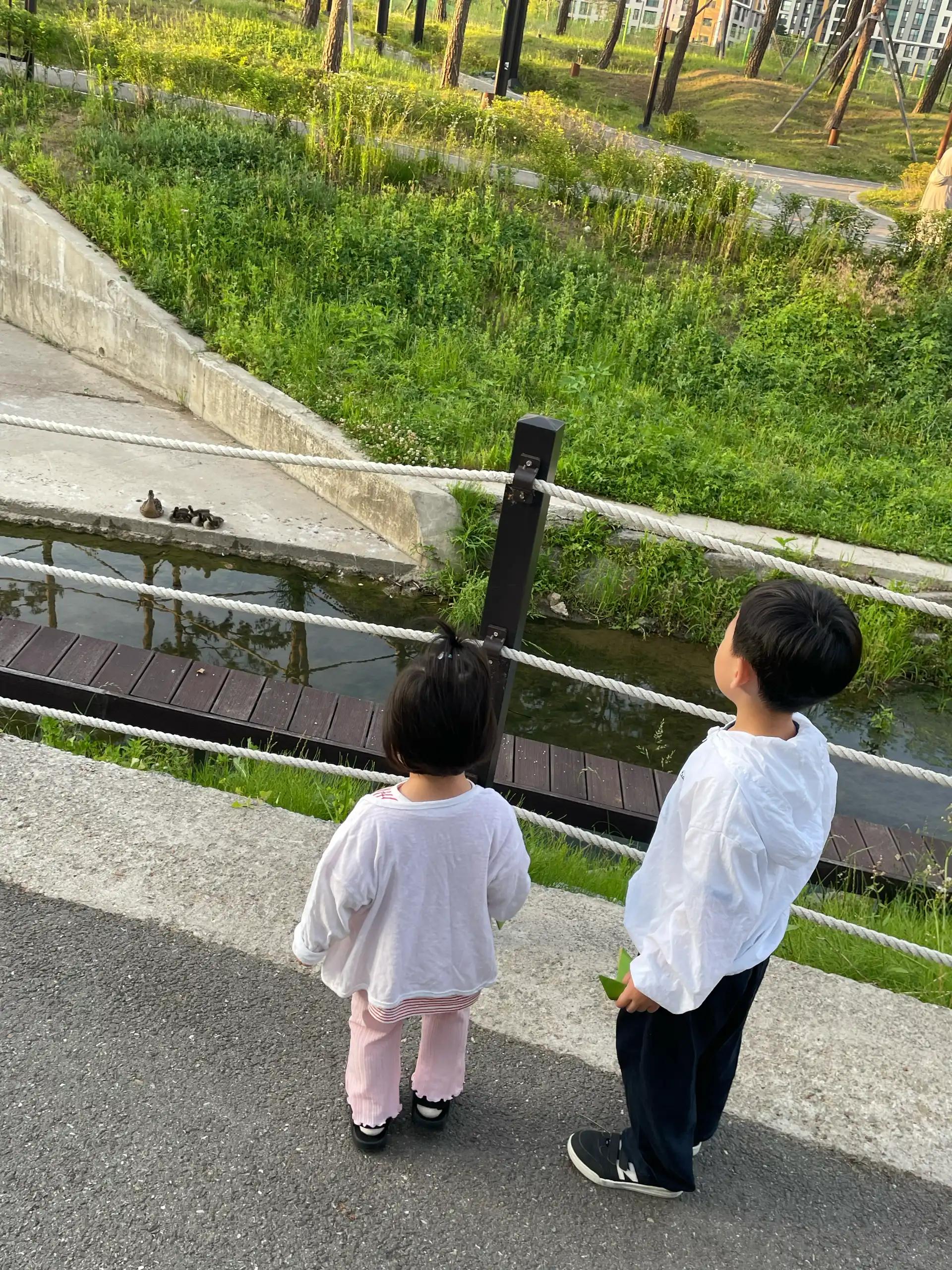 크루톡 이미지